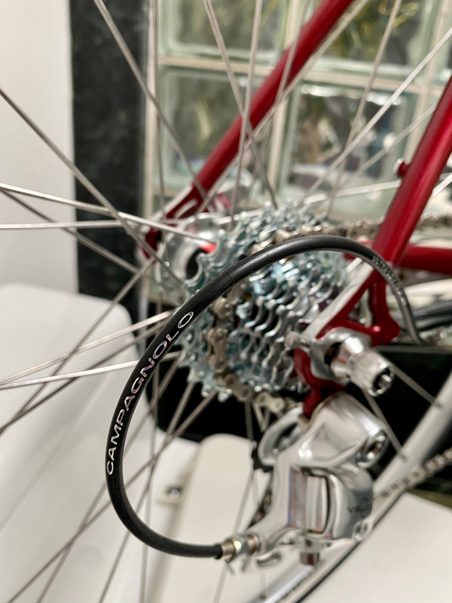 (SIZE 50cm) CUSTOM VENTURI ROAD BIKE - NEO-RETRO - CAMPAGNOLO