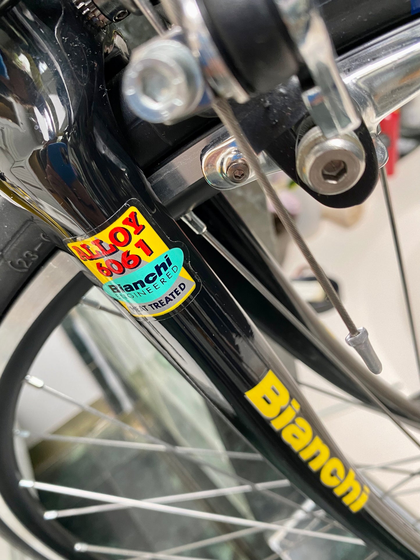 (SIZE 53cm) NOS / BRAND NEW CLASSIC BIANCHI "PRO RACE" ROAD BIKE - CAMPAGNOLO