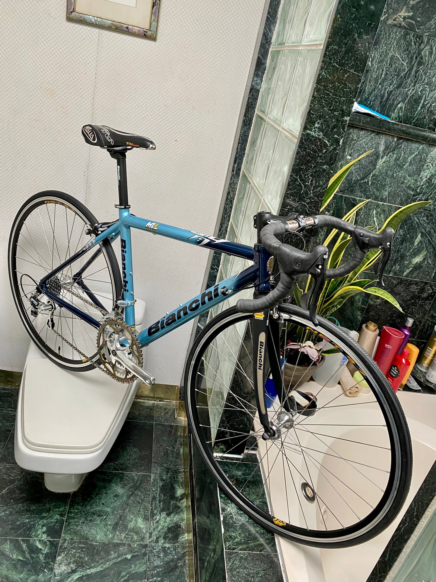 (SIZE 51cm) NOS / BRAND NEW CLASSIC BIANCHI ROAD BIKE - CAMPAGNOLO