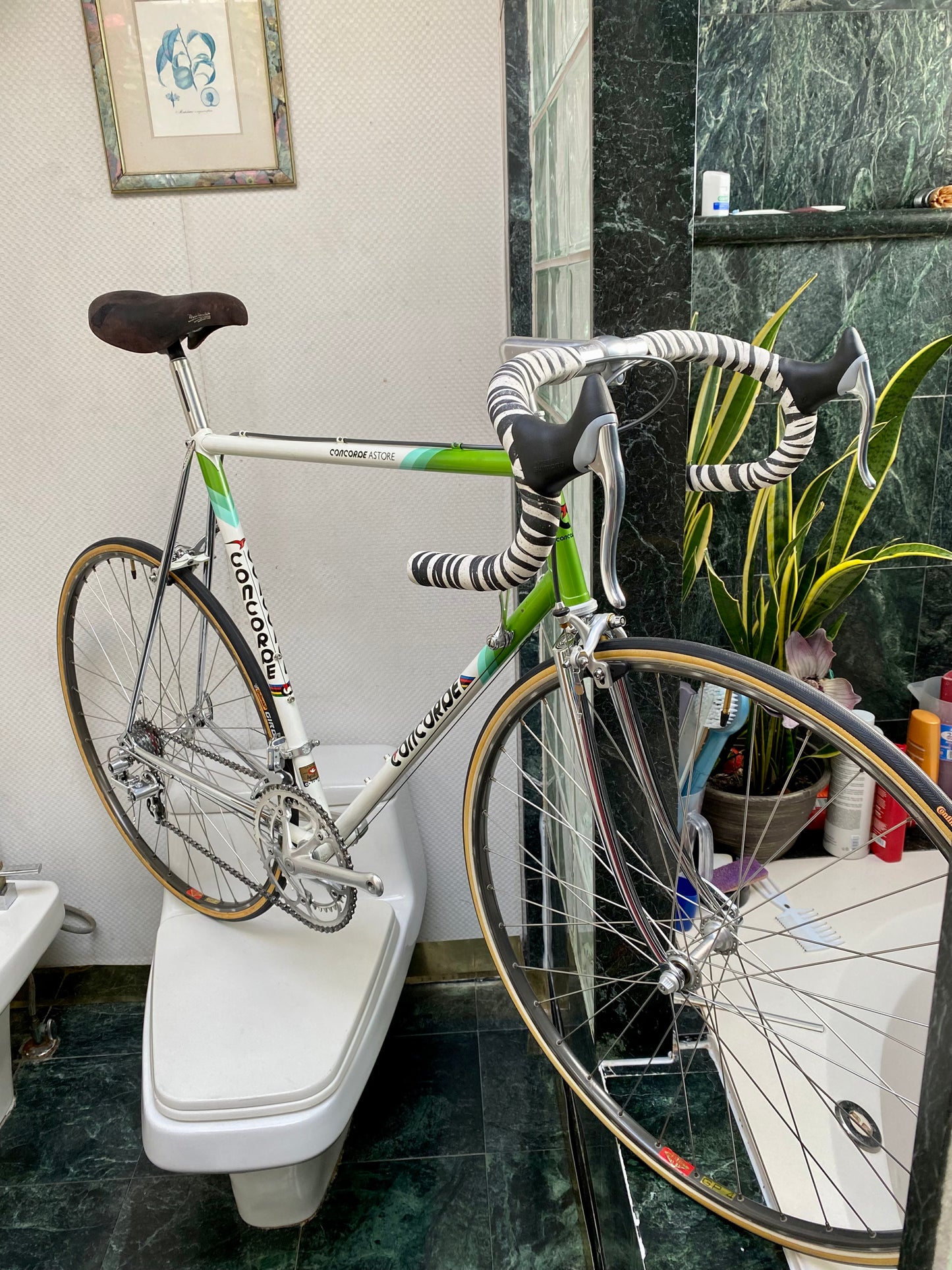 (SIZE 58cm) 1980's CONCORDE ASTORE ROAD BIKE - EDCO COMPETITION