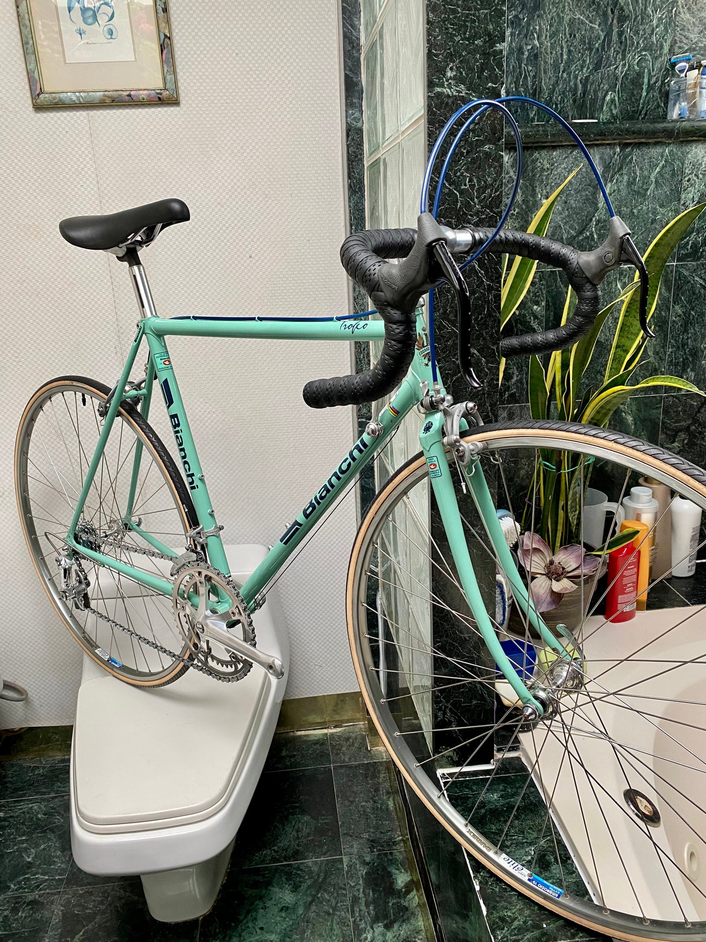 (SIZE 53cm) 1980's BIANCHI TROFEO ROAD BIKE - CAMPAGNOLO - COLUMBUS - LIKE NEW