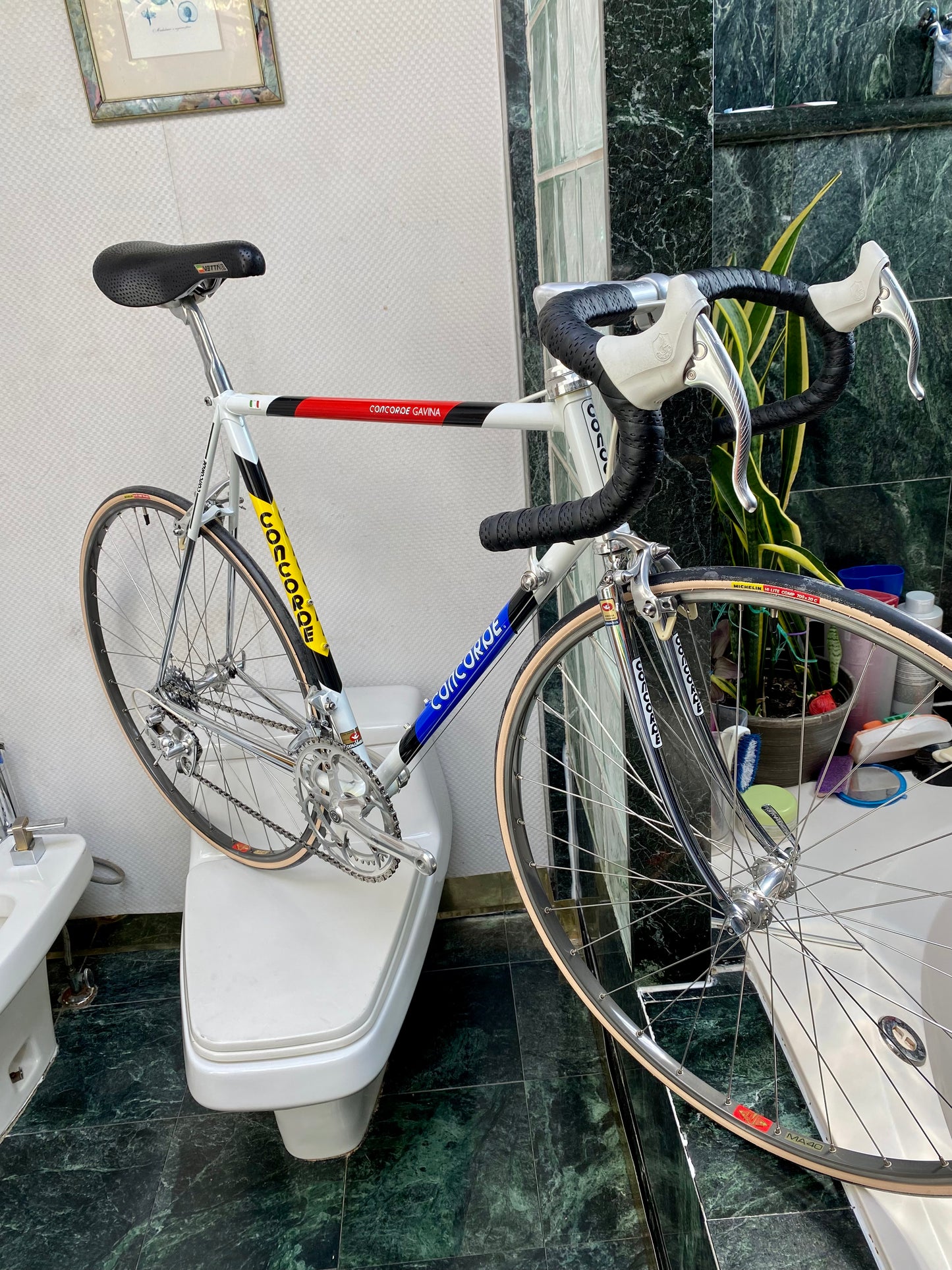 (SIZE 56cm) 1980's CONCORDE GAVINA ROAD BIKE - CAMPAGNOLO CHORUS - SPOTLESS