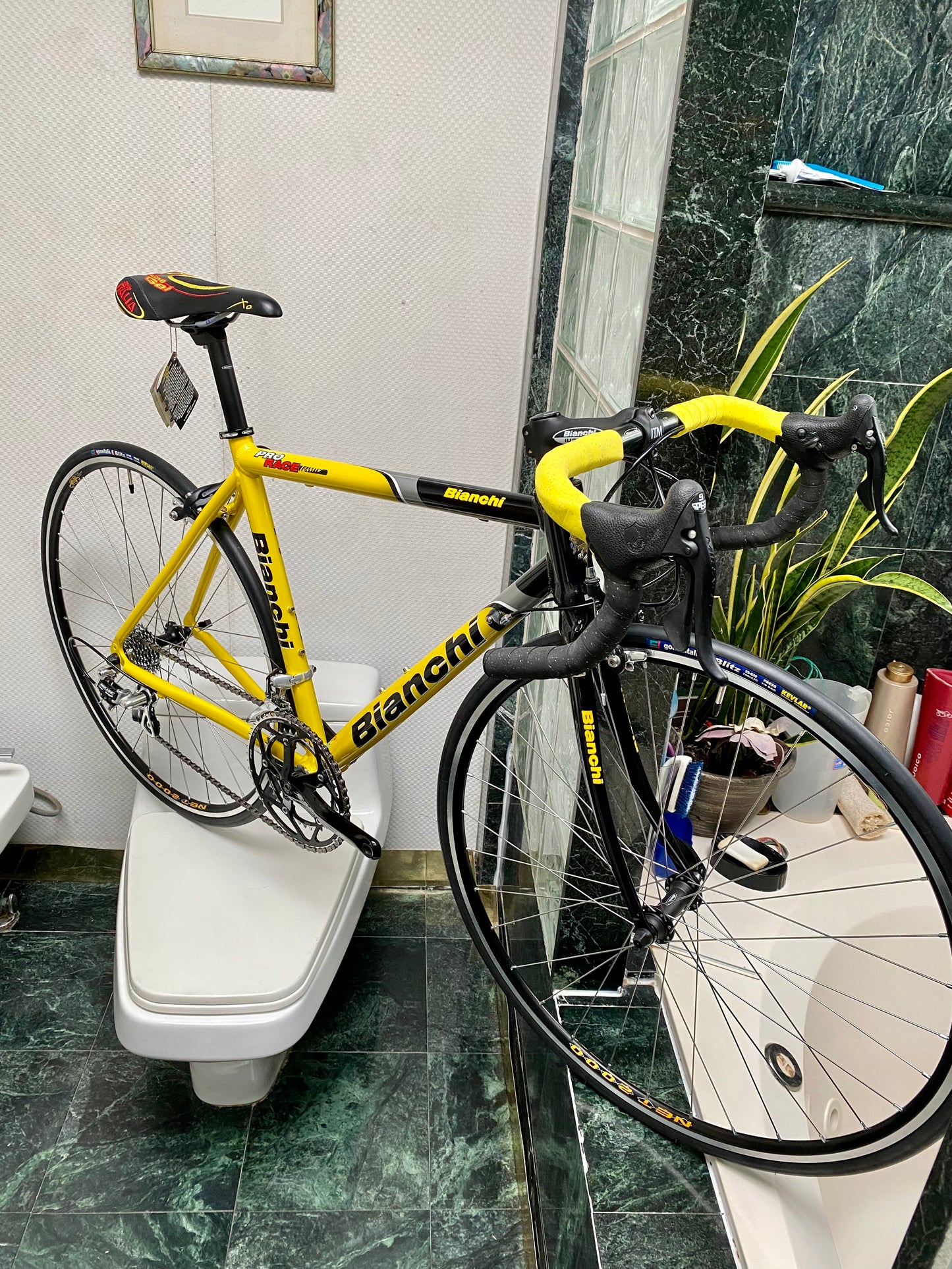 (SIZE 53cm) NOS / BRAND NEW CLASSIC BIANCHI "PRO RACE" ROAD BIKE - CAMPAGNOLO