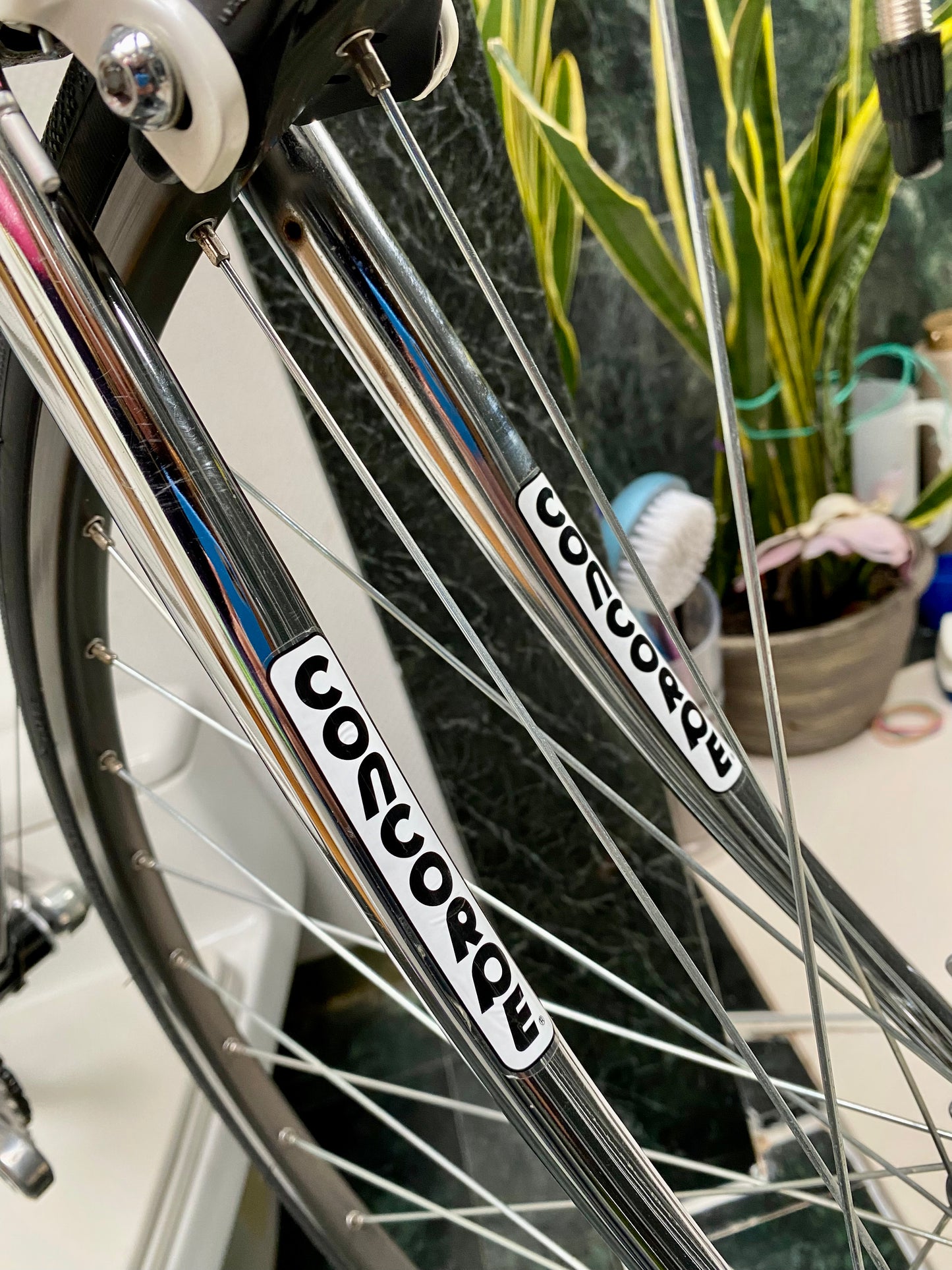 (SIZE 53cm) 1980's CONCORDE VECTRA ROAD BIKE - SPOTLESS / LIKE  NEW