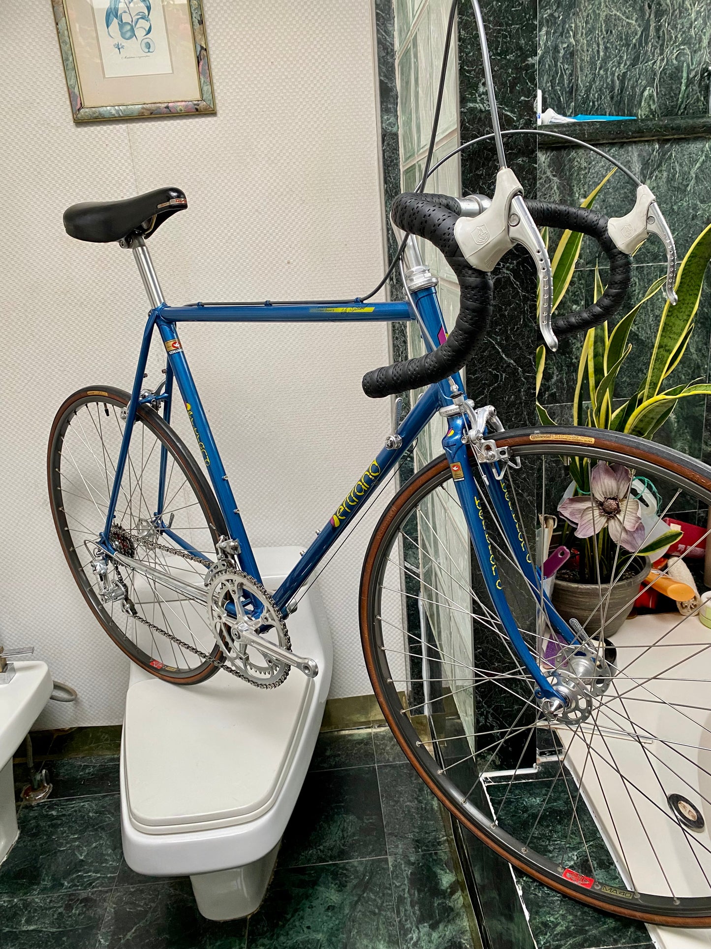 (SIZE 57cm) 1980's BERTRAND ROAD BIKE - CAMPAGNOLO - COLUMBUS SL