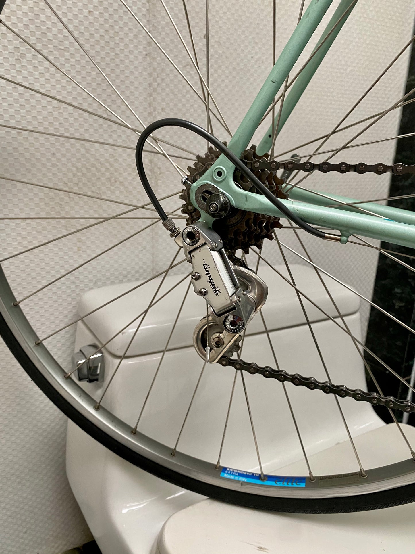 (SIZE 54cm) 1980's BIANCHI CELESTE ROAD BIKE - CAMPAGNOLO - COLUMBUS