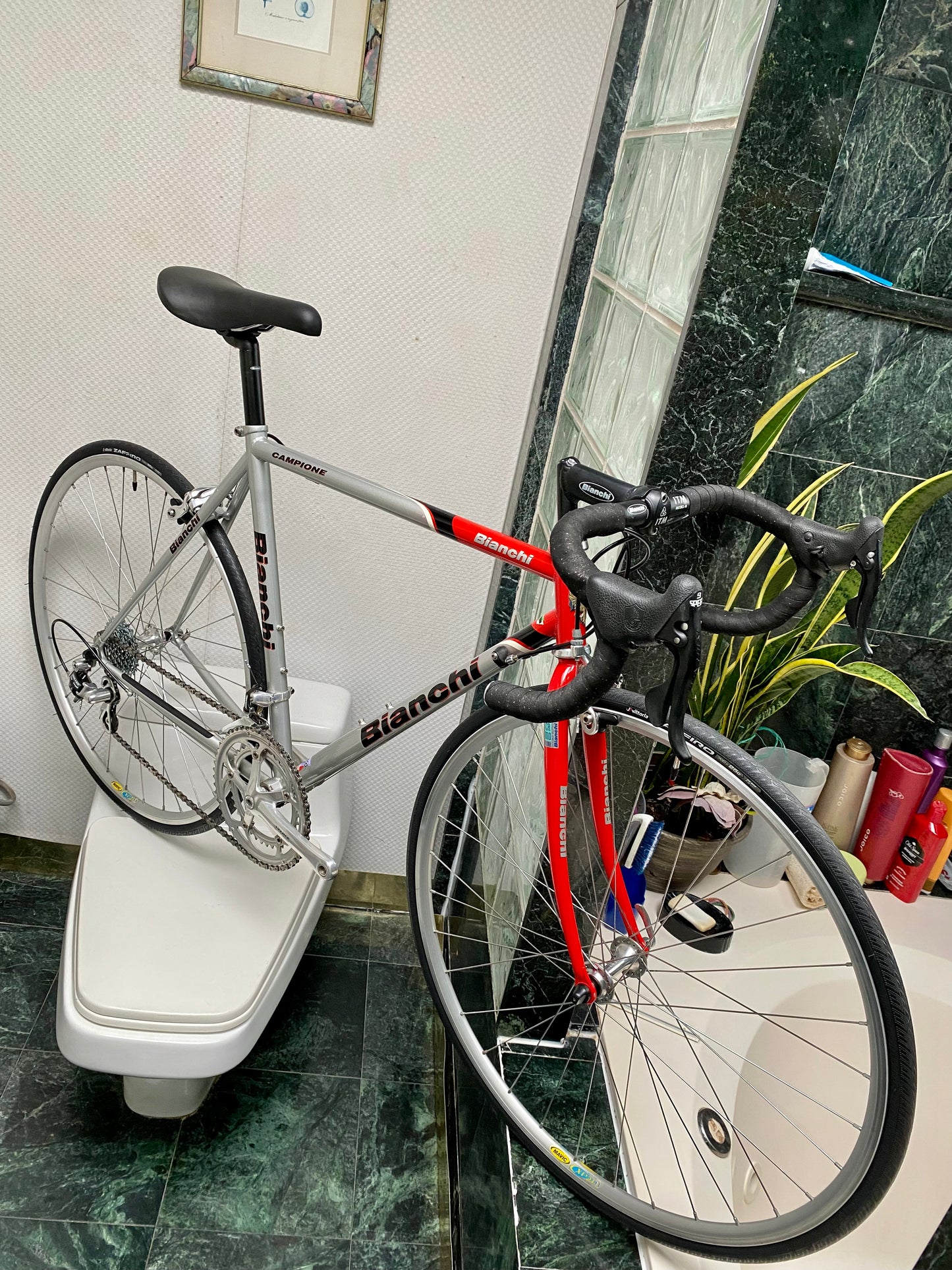 (SIZE 53cm) 1990's BIANCHI CAMPIONE ROAD BIKE - CAMPAGNOLO