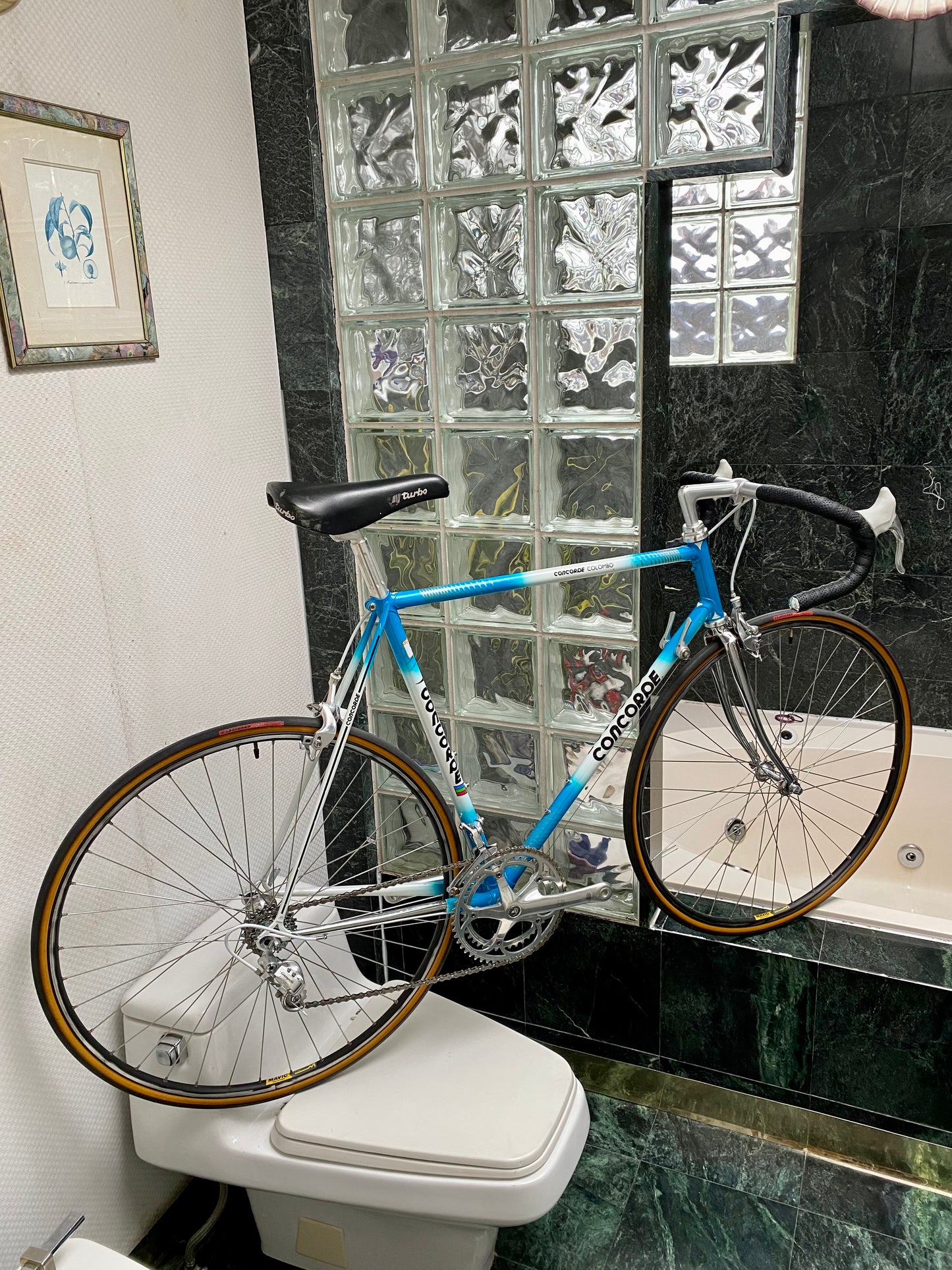 (SIZE 57cm) 1980's CONCORDE COLOMBO ROAD BIKE - CAMPAGNOLO ATHENA