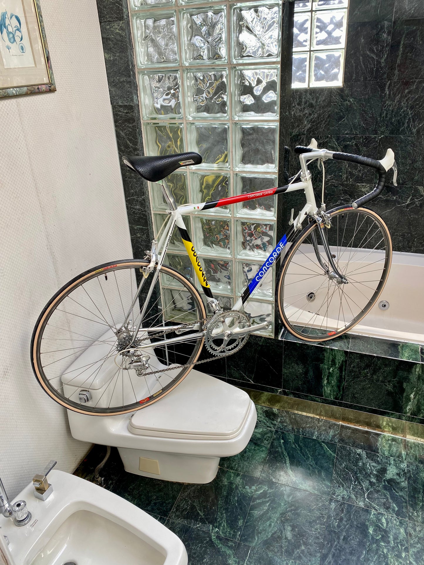 (SIZE 56cm) 1980's CONCORDE GAVINA ROAD BIKE - CAMPAGNOLO CHORUS - SPOTLESS