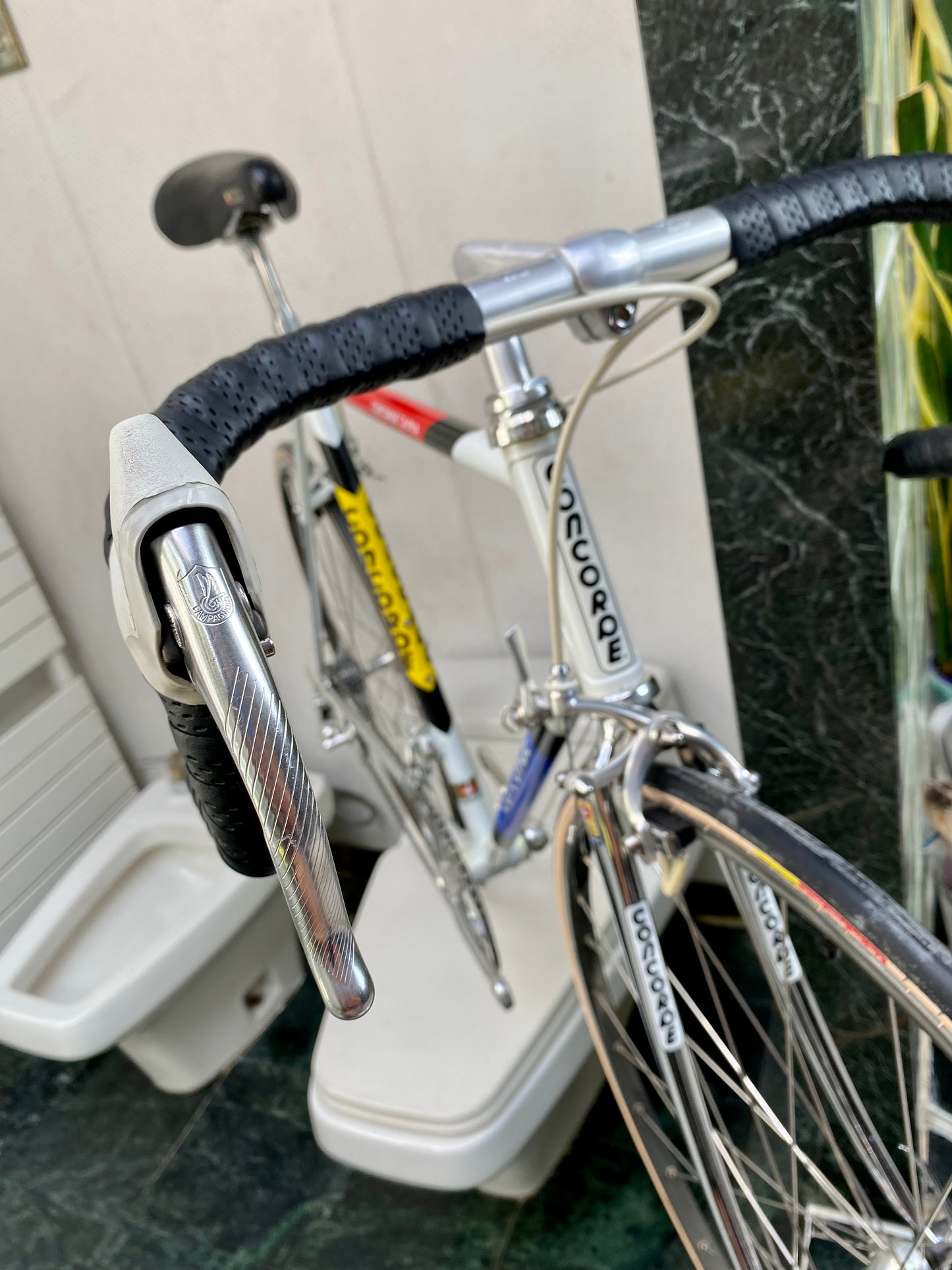 (SIZE 56cm) 1980's CONCORDE GAVINA ROAD BIKE - CAMPAGNOLO CHORUS - SPOTLESS