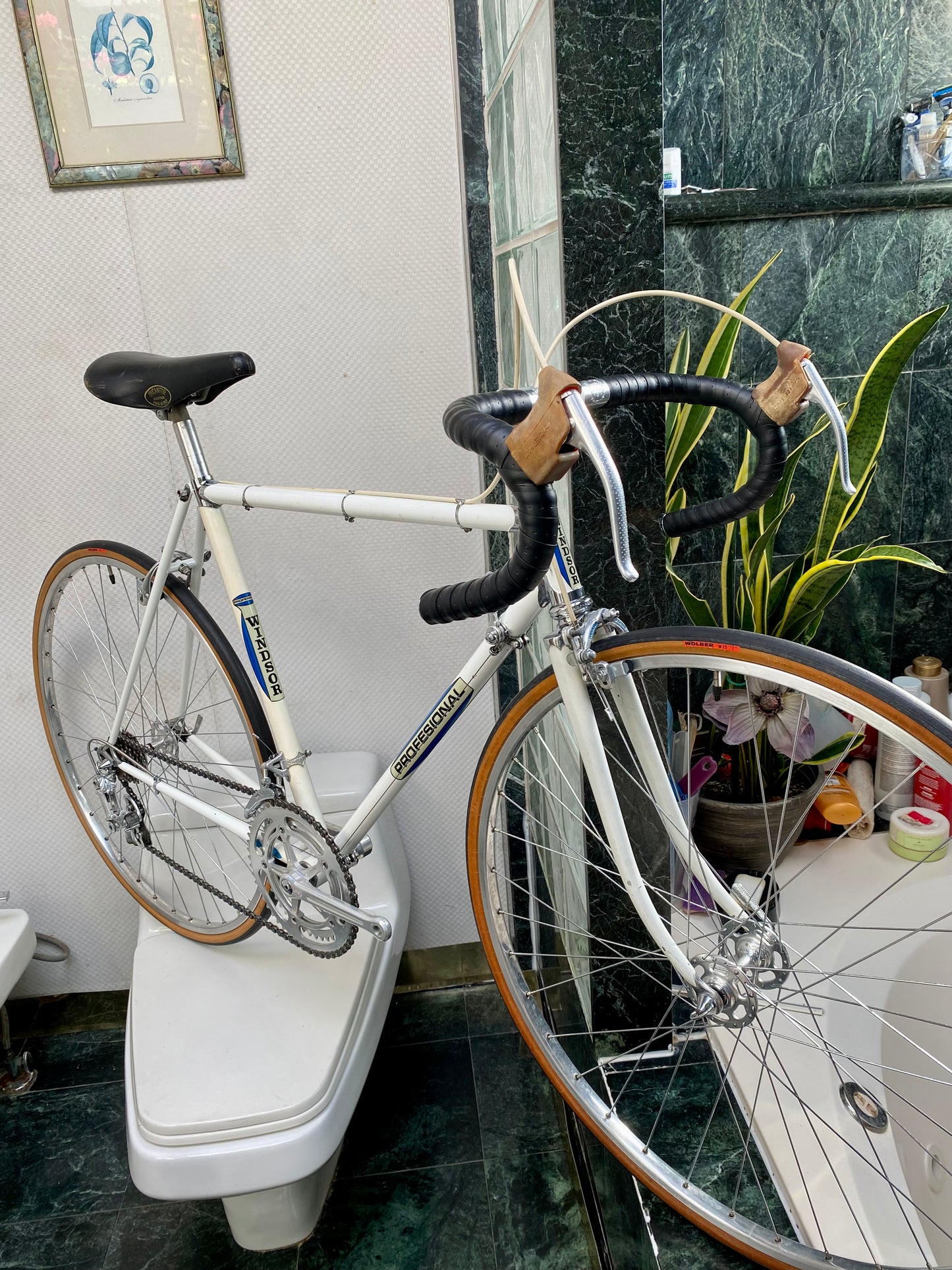 (SIZE 54cm) 1970's WINDSOR PROFESSIONAL ROAD BIKE - CAMPAGNOLO NUOVO RECORD