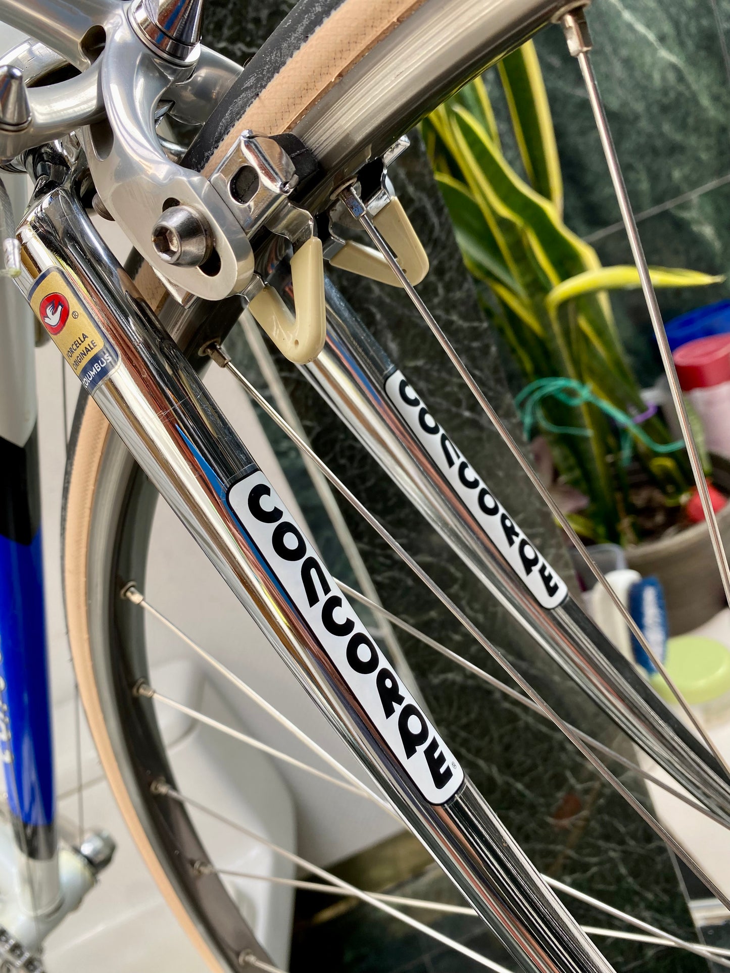 (SIZE 56cm) 1980's CONCORDE GAVINA ROAD BIKE - CAMPAGNOLO CHORUS - SPOTLESS