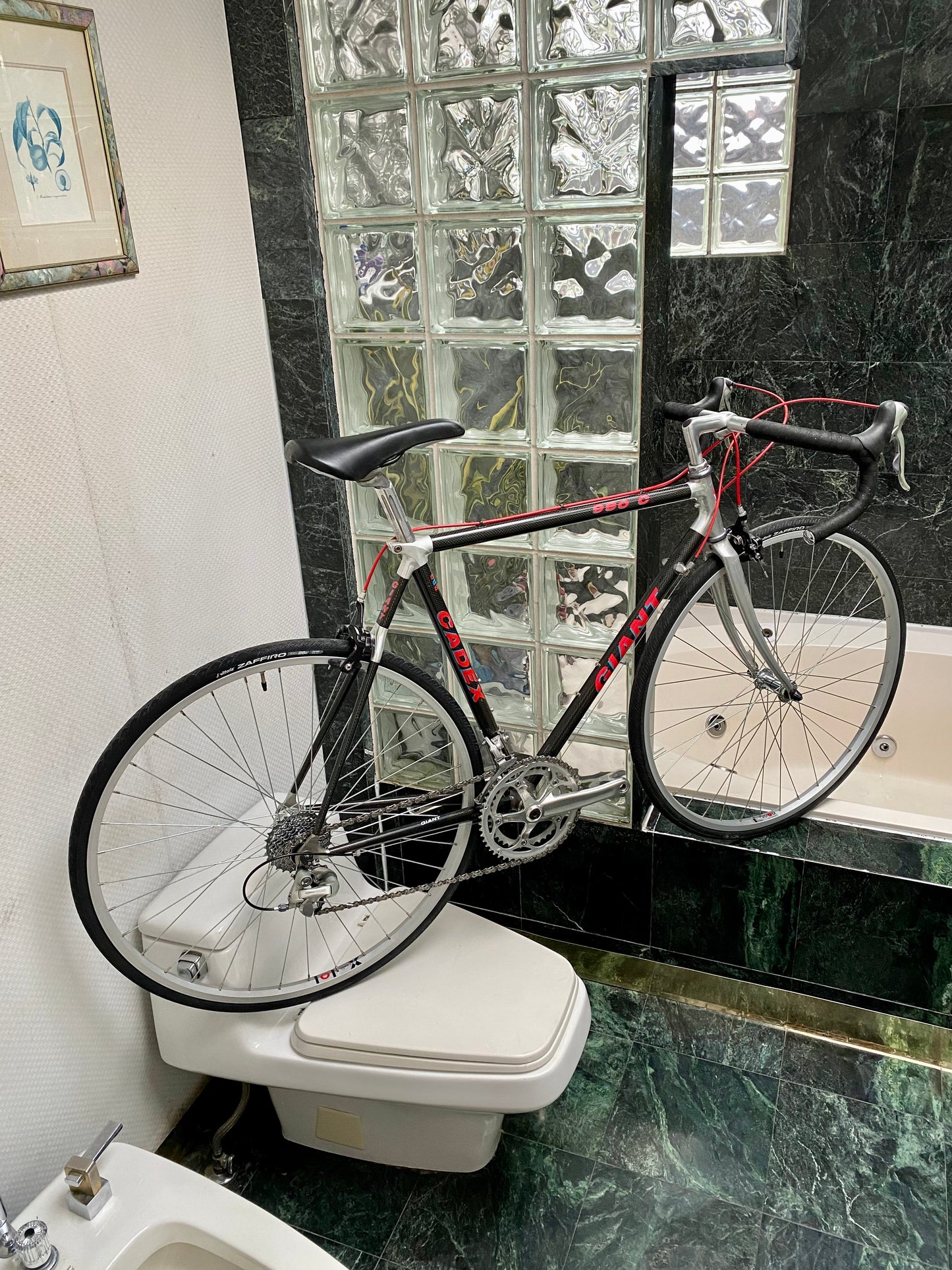 (SIZE 54cm) 1990's GIANT CARBON ROAD BIKE