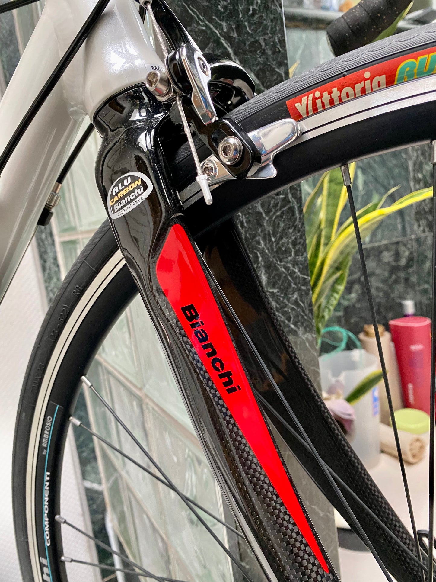 (SIZE 56cm) NOS / BRAND NEW CLASSIC BIANCHI ROAD BIKE - CAMPAGNOLO