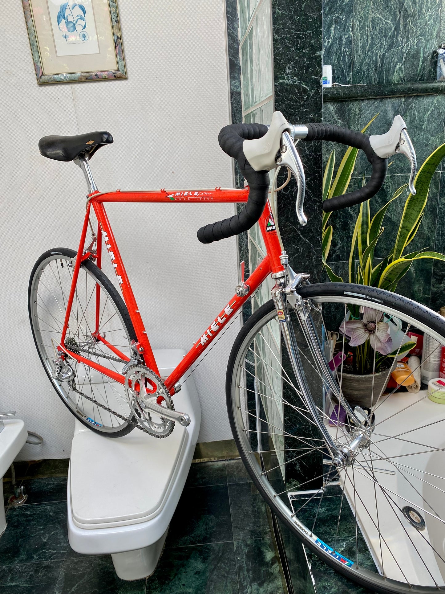 (SIZE 59cm) 1980's MIELE LATINA ROAD BIKE - CAMPAGNOLO ATHENA - COLUMBUS SL