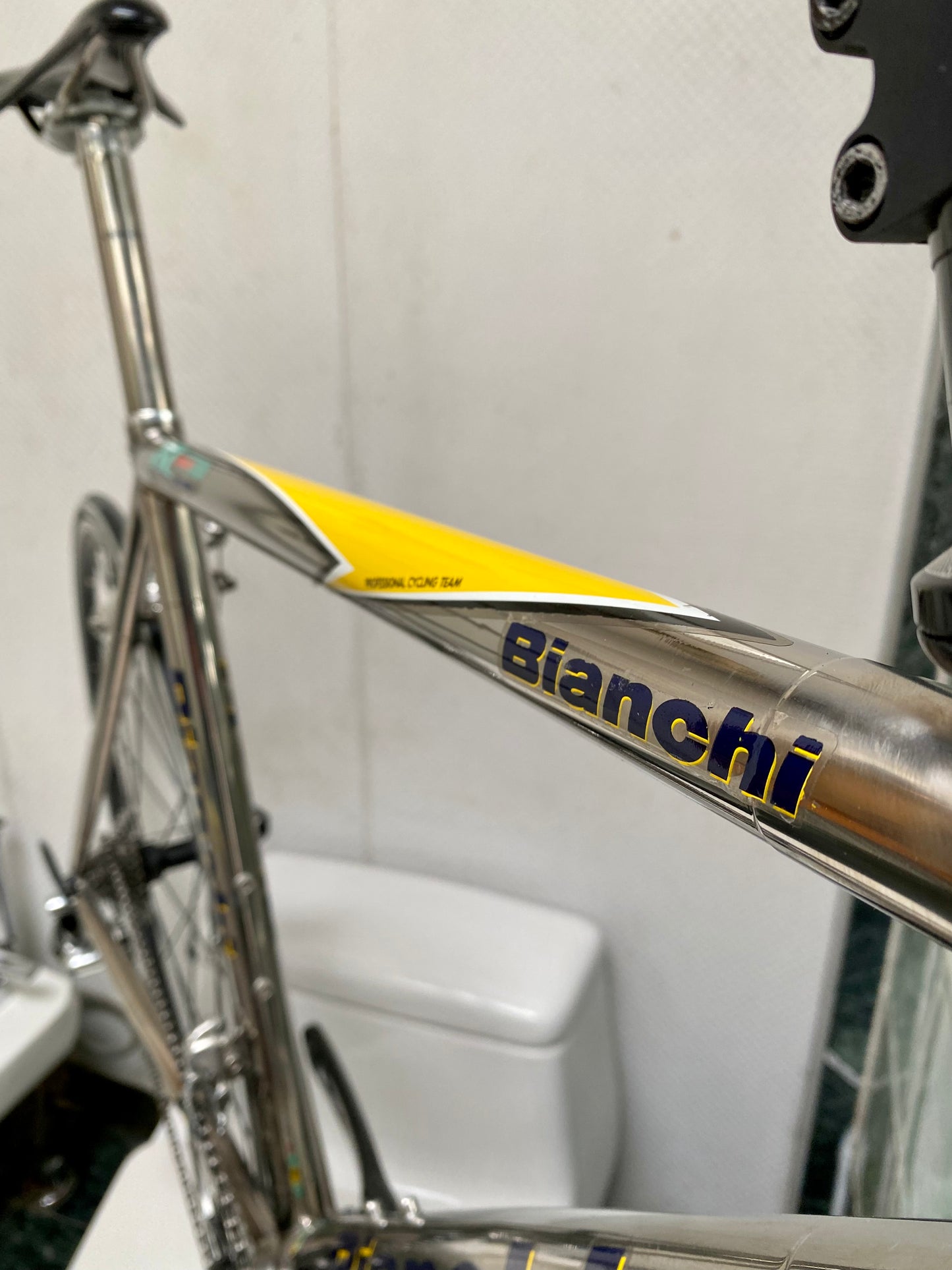 (SIZE 54cm) 2004 BIANCHI "XL EXTRALITE" TITANIUM ROAD BIKE - CAMPAGNOLO RECORD - SPOTLESS
