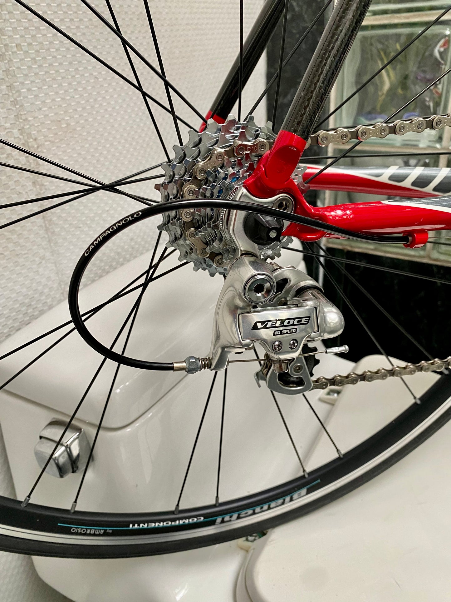 (SIZE 56cm) NOS / BRAND NEW CLASSIC BIANCHI ROAD BIKE - CAMPAGNOLO