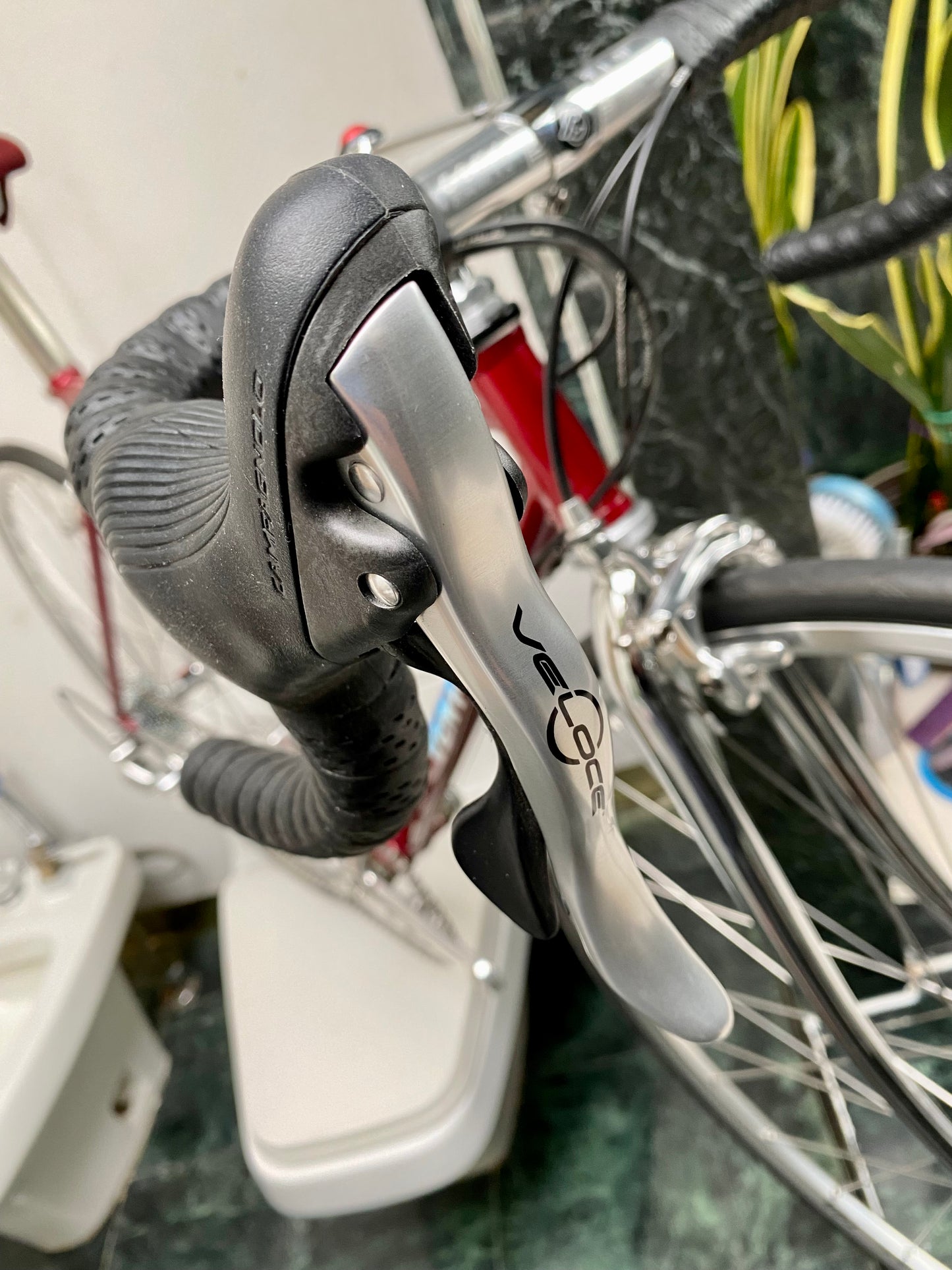 (SIZE 50cm) CUSTOM VENTURI ROAD BIKE - NEO-RETRO - CAMPAGNOLO