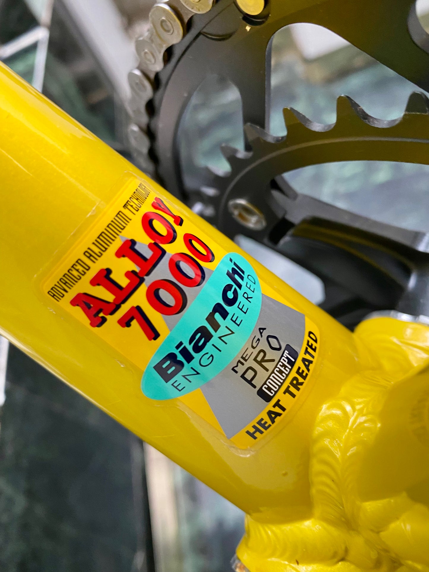 (SIZE 53cm) NOS / BRAND NEW CLASSIC BIANCHI "PRO RACE" ROAD BIKE - CAMPAGNOLO