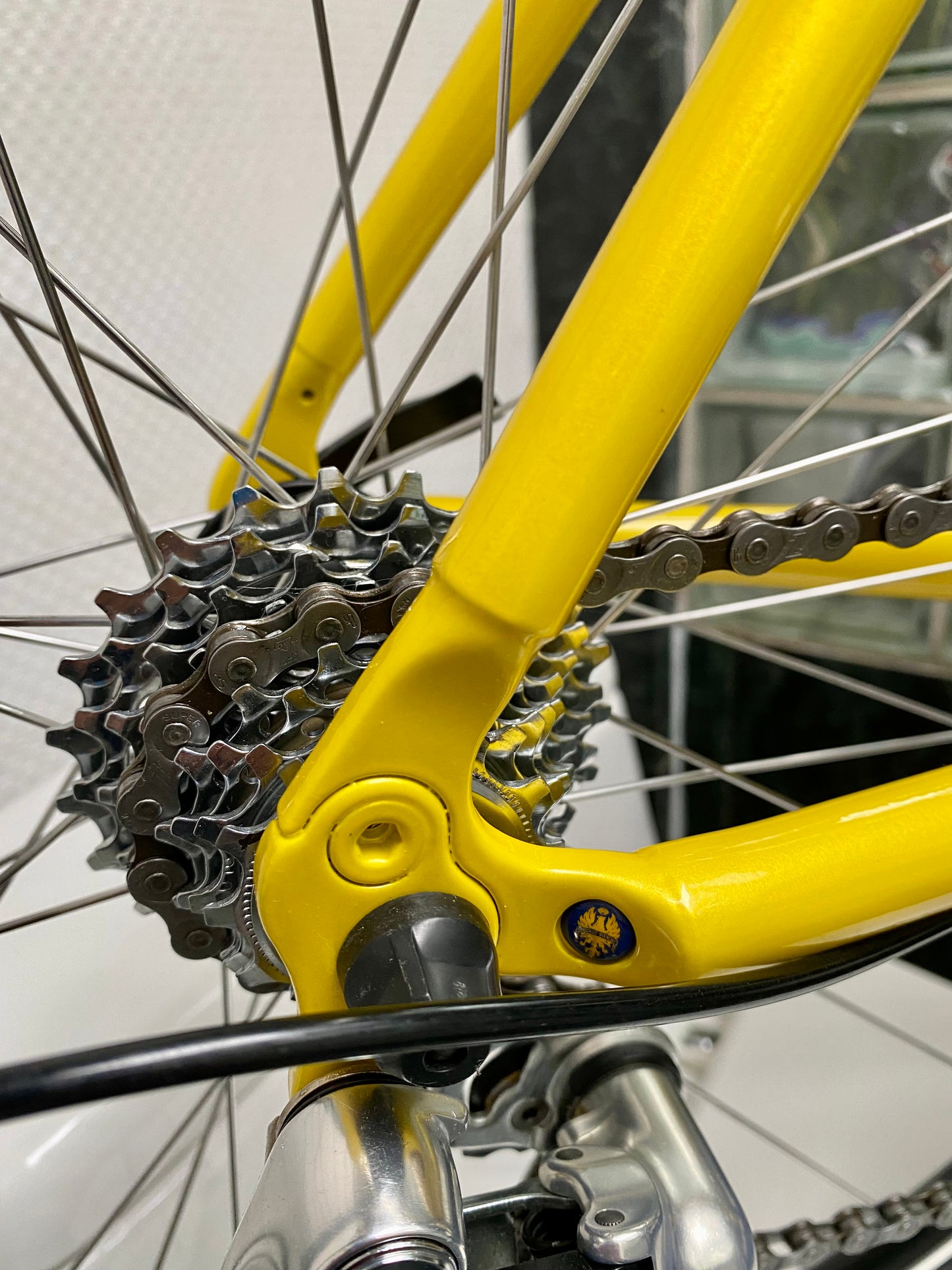 (SIZE 53cm) NOS / BRAND NEW CLASSIC BIANCHI "PRO RACE" ROAD BIKE - CAMPAGNOLO