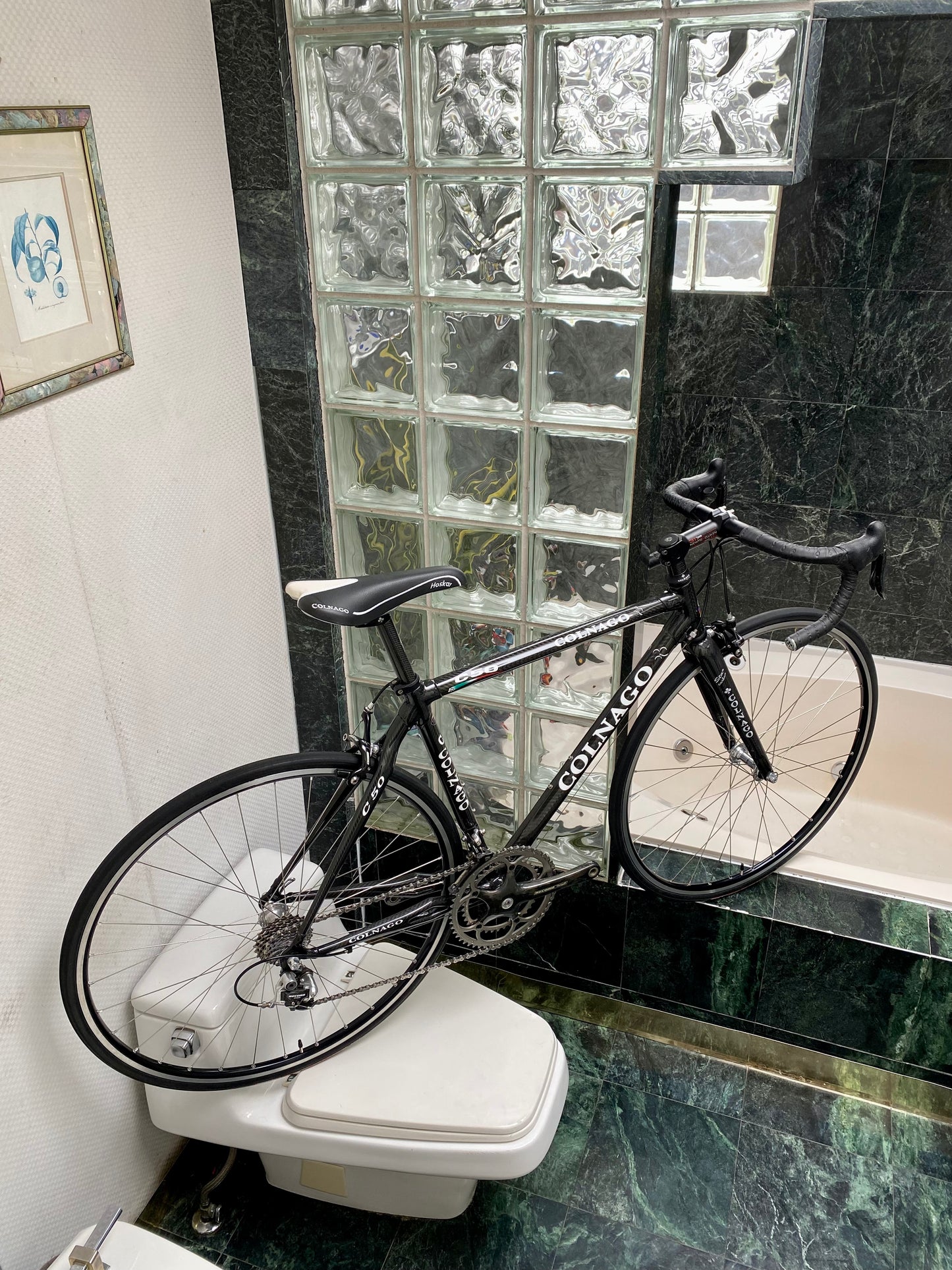 (SIZE 51cm) CLASSIC COLNAGO C50 CARBON ROAD BIKE - CAMPAGNOLO RECORD