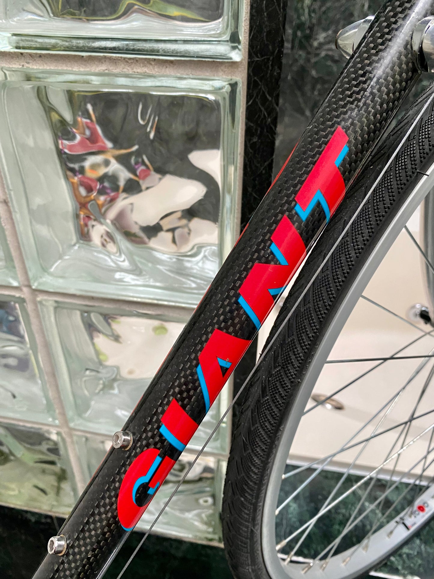 (SIZE 54cm) 1990's GIANT CARBON ROAD BIKE