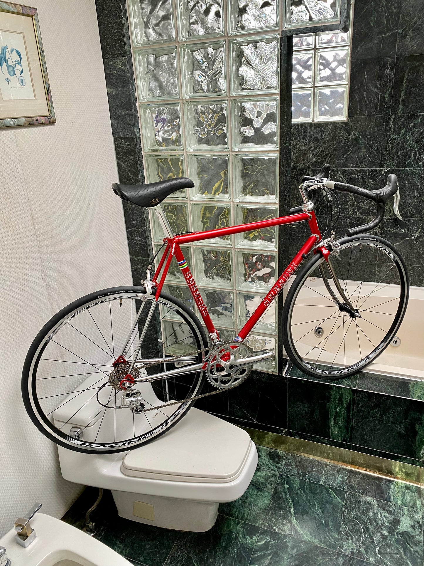 (SIZE 56cm) CHESINI X-UNO STEEL ROAD BIKE - COLUMBUS STEEL / CAMPY ATHENA 11