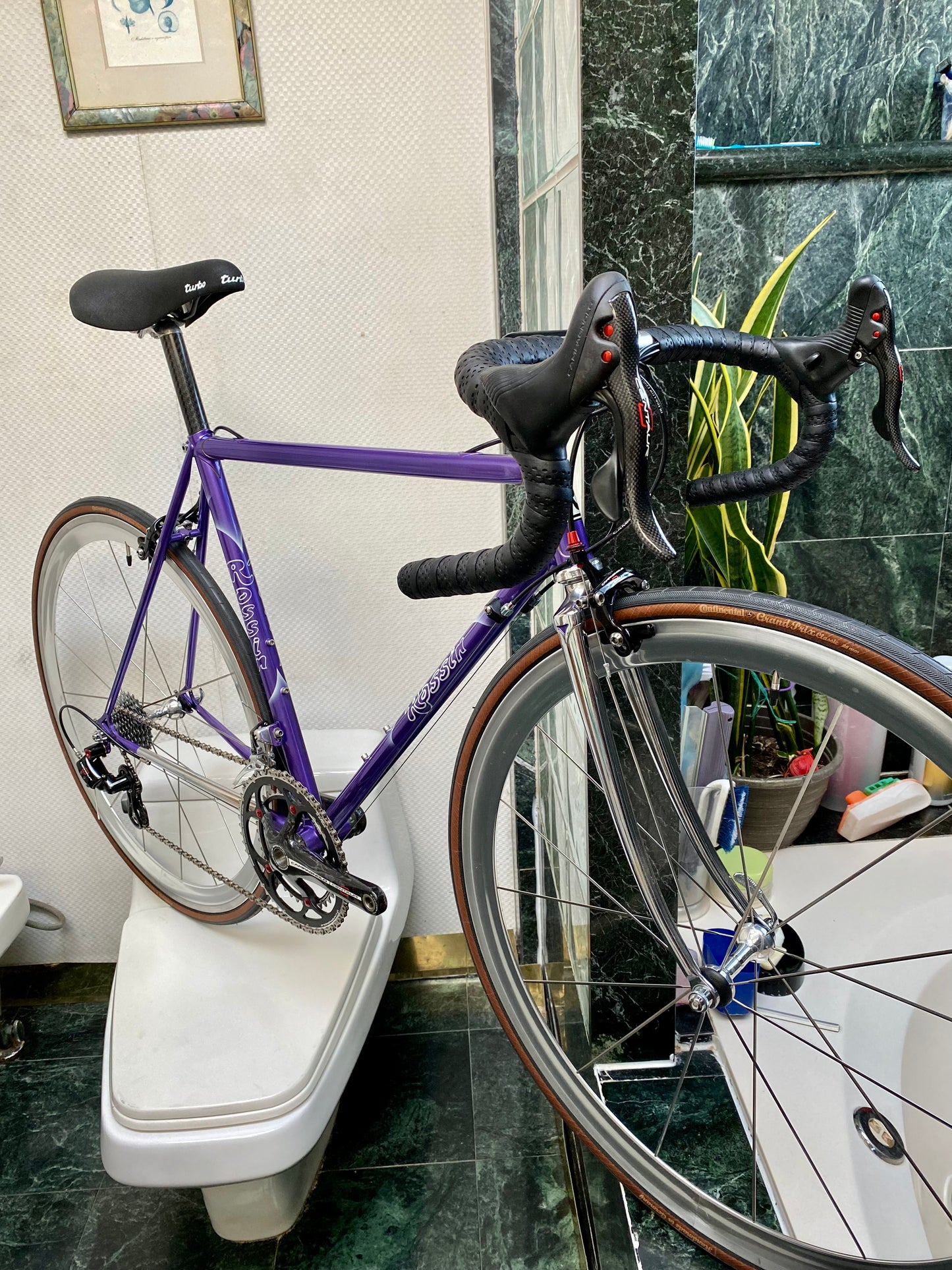 (SIZE 53cm) SENSATIONAL ROSSIN NEO-RETRO BUILD - CAMPAGNOLO CENTAUR CARBON GROUPSET - BEAUTIFUL!!!