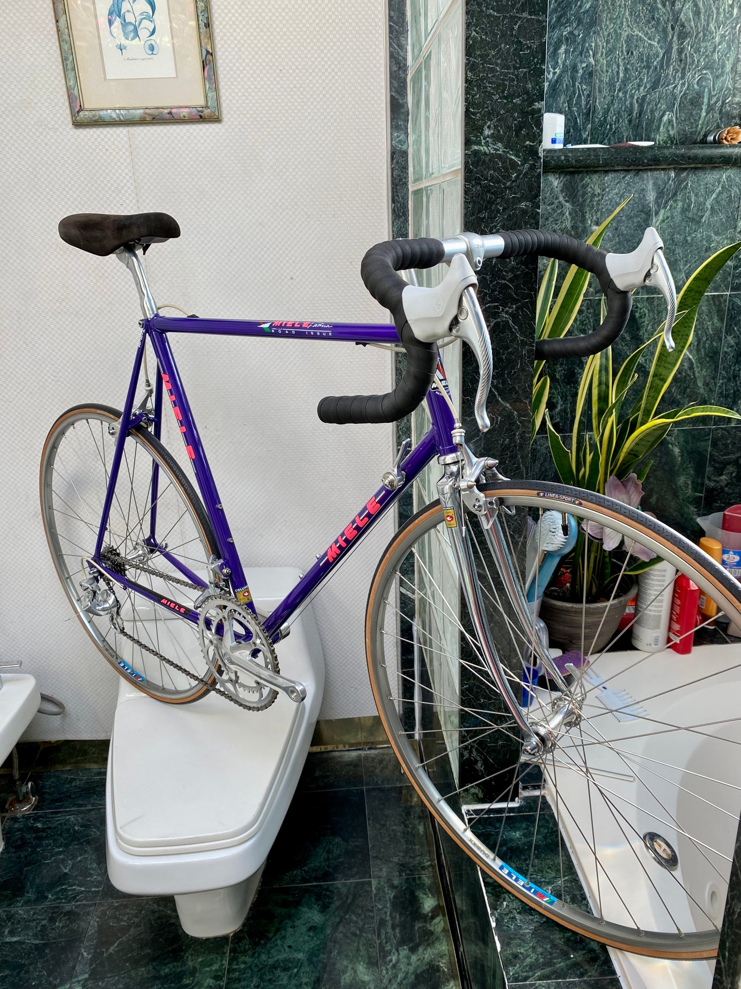 (SIZE 59cm) 1980's MIELE LATINA ROAD BIKE - CAMPAGNOLO ATHENA