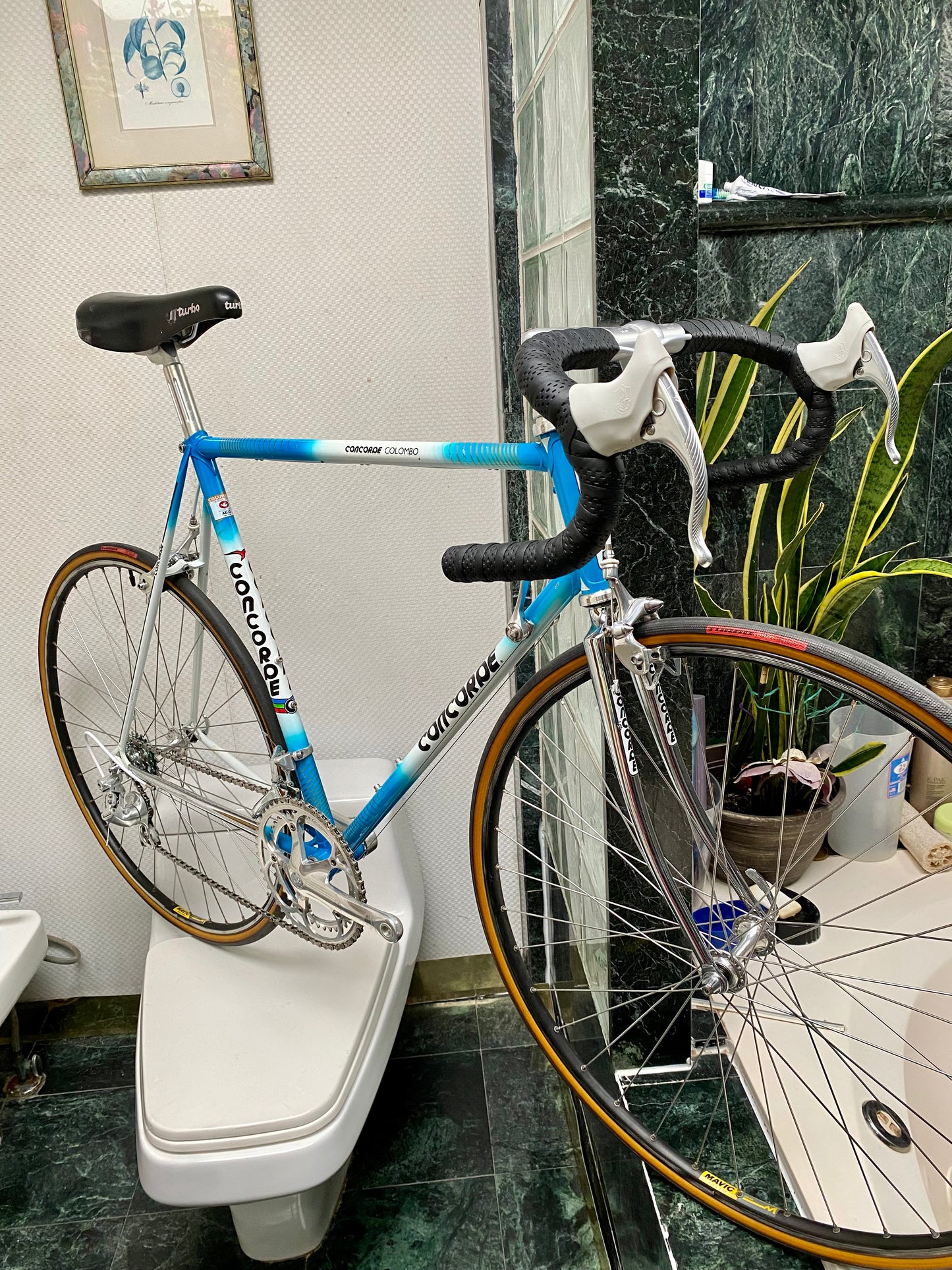 (SIZE 57cm) 1980's CONCORDE COLOMBO ROAD BIKE - CAMPAGNOLO ATHENA