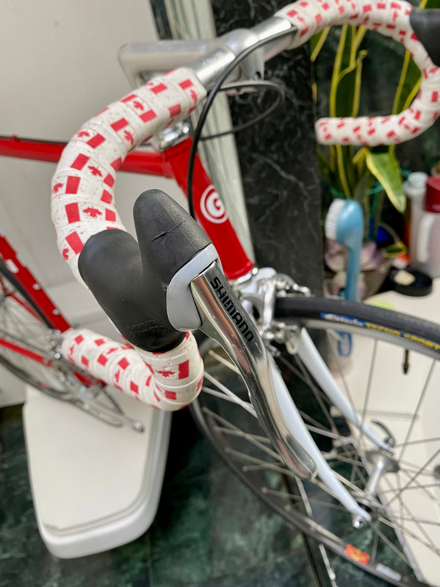 (SIZE 57cm) 1980's GARDIN ROAD BIKE