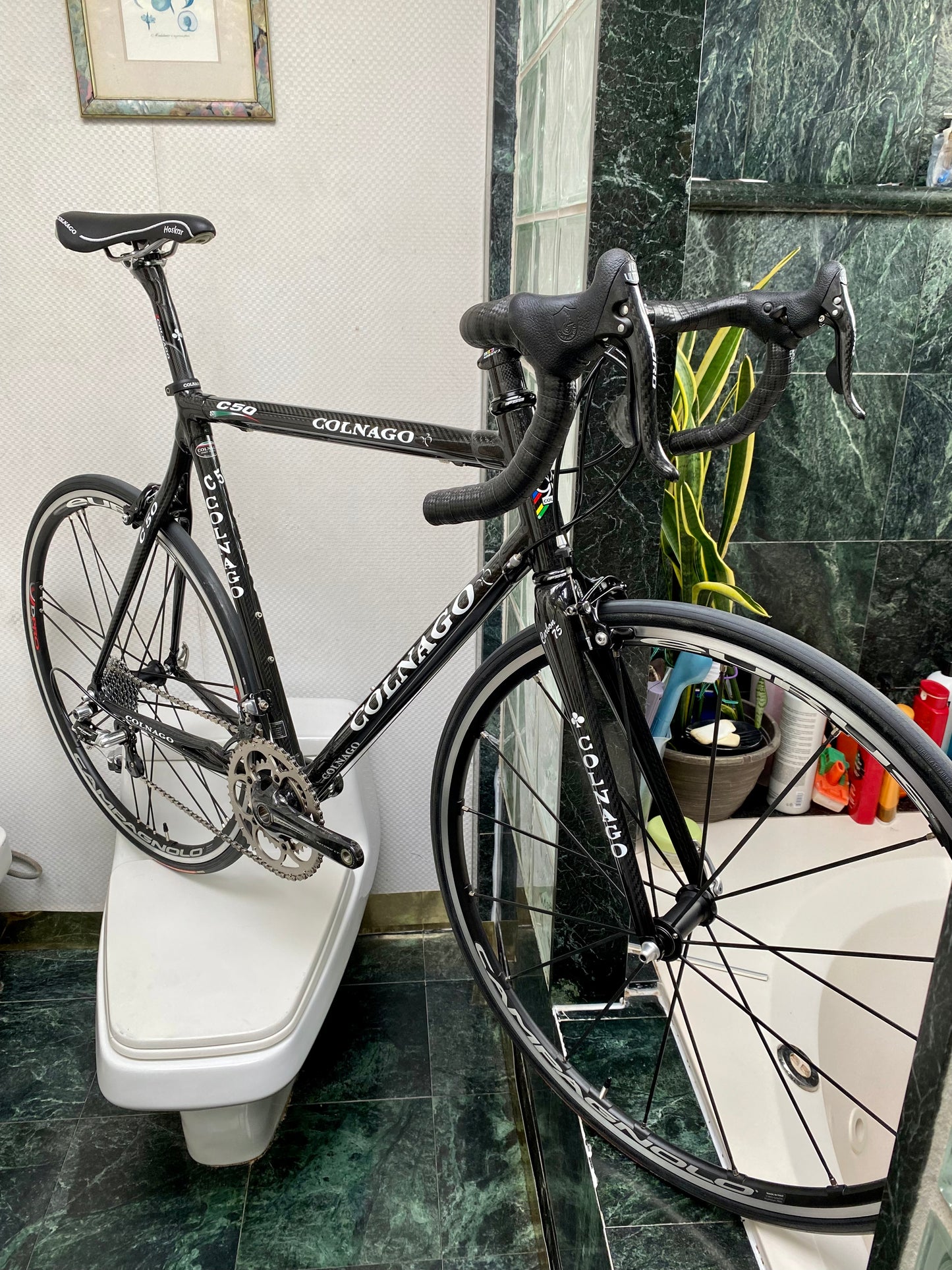 (SIZE 56cm) CLASSIC COLNAGO C50 ROAD BIKE - CAMPAGNOLO RECORD - LIKE NEW / SPOTLESS