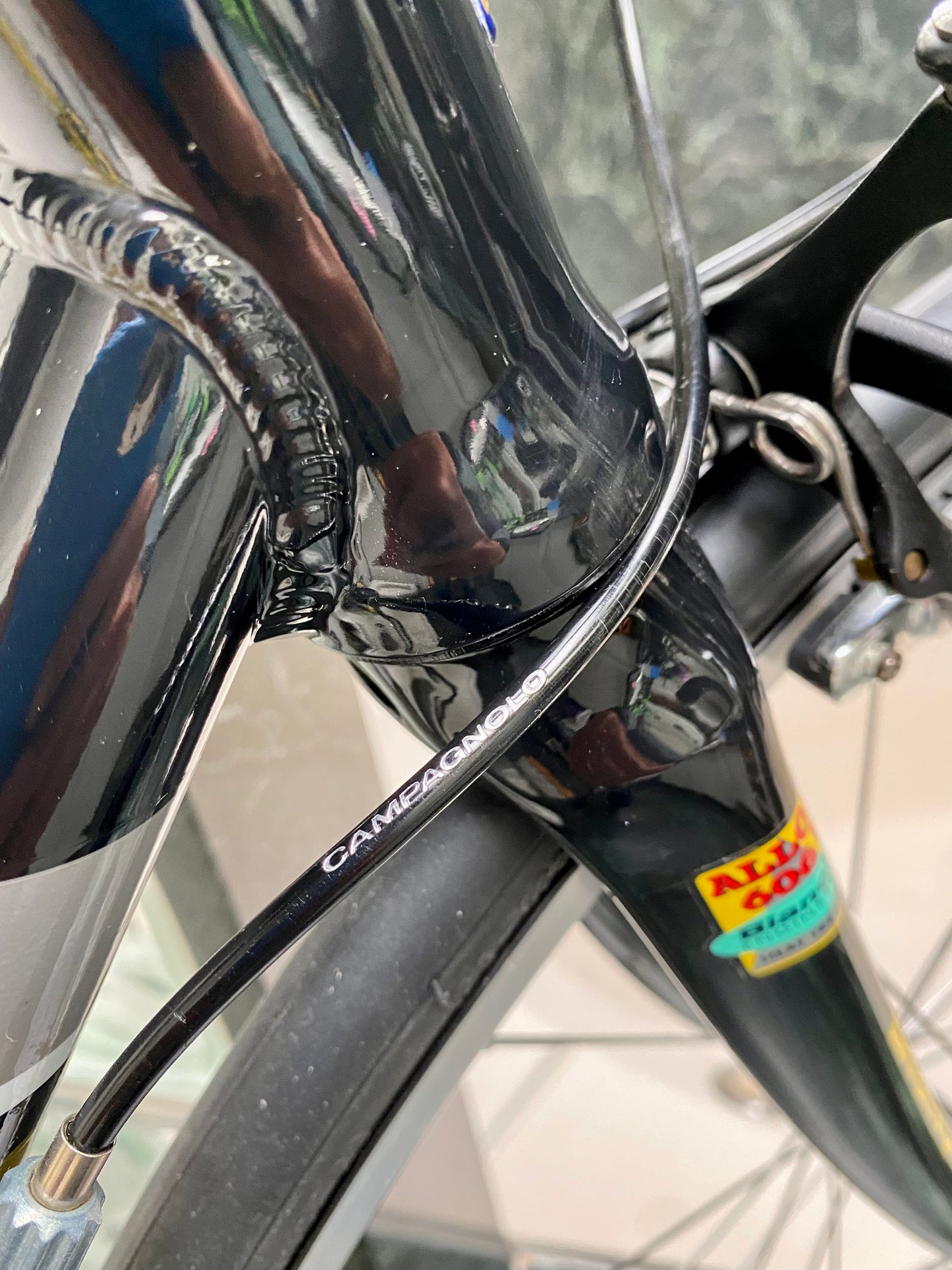 (SIZE 53cm) NOS / BRAND NEW CLASSIC BIANCHI "PRO RACE" ROAD BIKE - CAMPAGNOLO