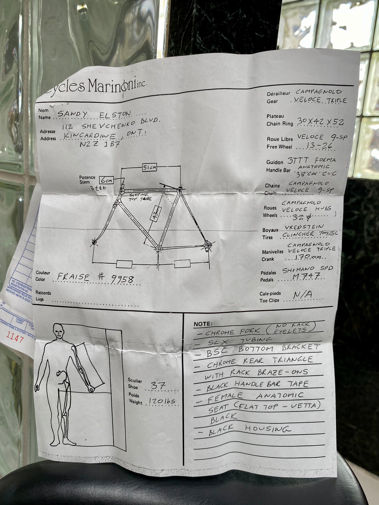 (SIZE "43cm") 1999 GIANELLA STEEL ROAD BIKE - CUSTOM BUILT - COLUMBUS SLX - CAMPY