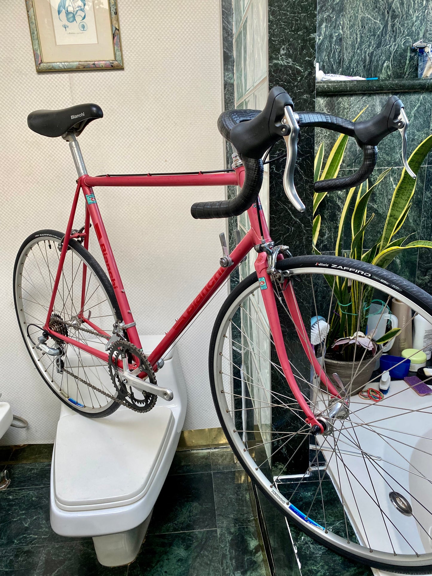 (SIZE 58cm) BIANCHI SQUADRA ROAD BIKE - MADE IN ITALY - COLUMBUS