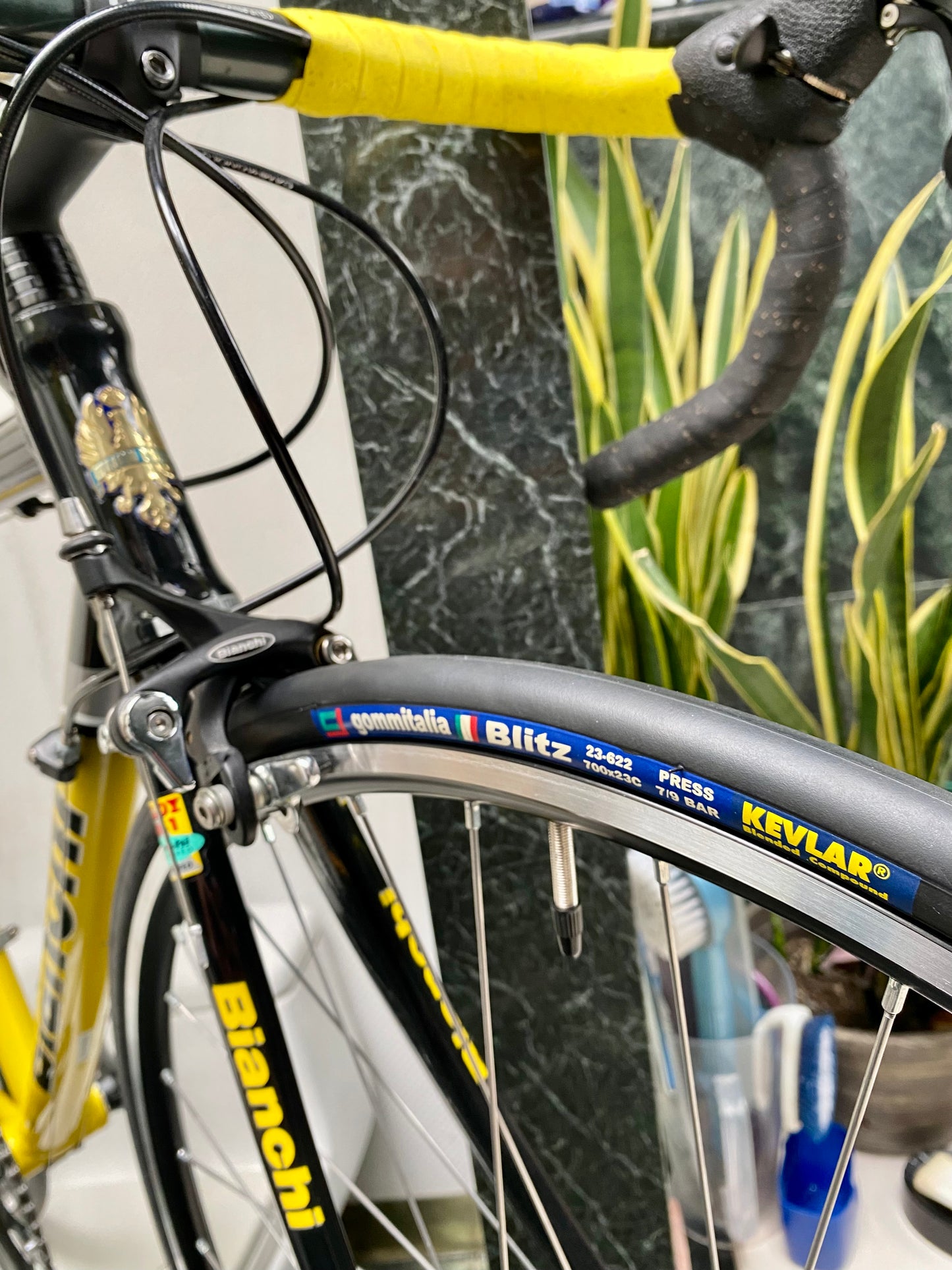 (SIZE 53cm) NOS / BRAND NEW CLASSIC BIANCHI "PRO RACE" ROAD BIKE - CAMPAGNOLO