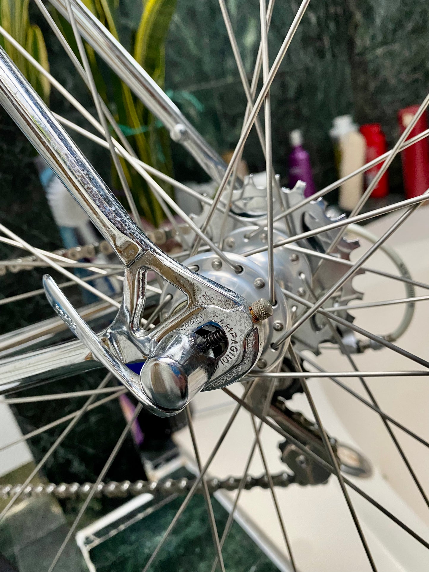 (SIZE 54cm) 1980's CONCORDE ASTORE ROAD BIKE - SHIMANO SANTE - COLUMBUS