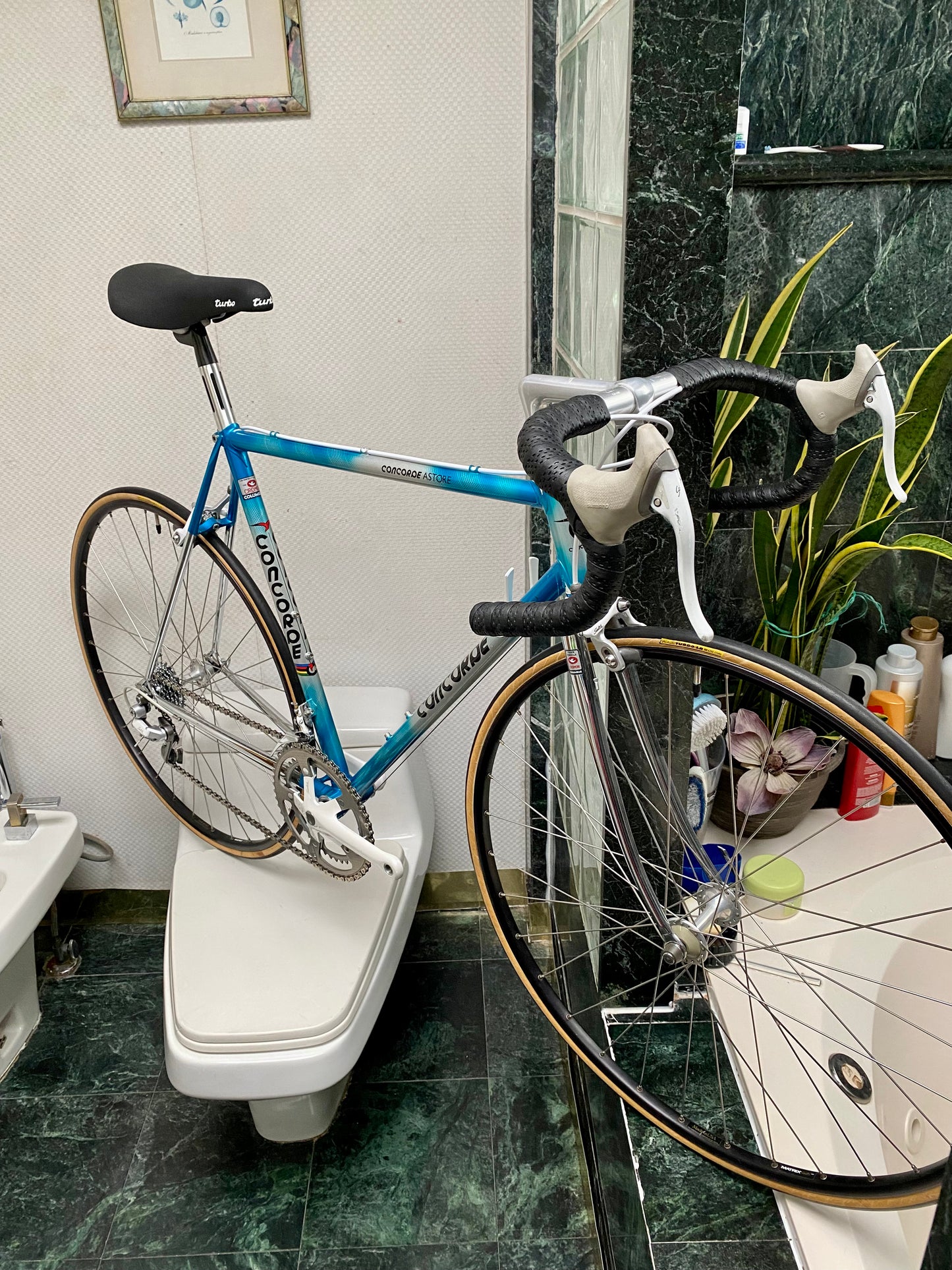 (SIZE 54cm) 1980's CONCORDE ASTORE ROAD BIKE - SHIMANO SANTE - COLUMBUS