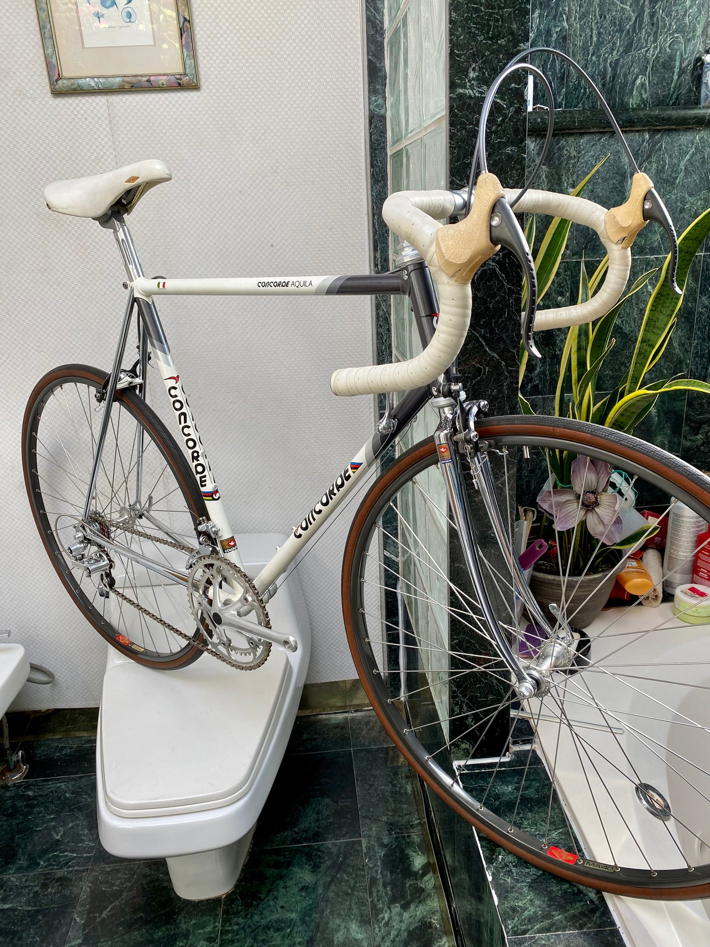 (SIZE 58cm) 1980's CONCORDE AQUILA ROAD BIKE - EDCO COMPETITION GROUPSET