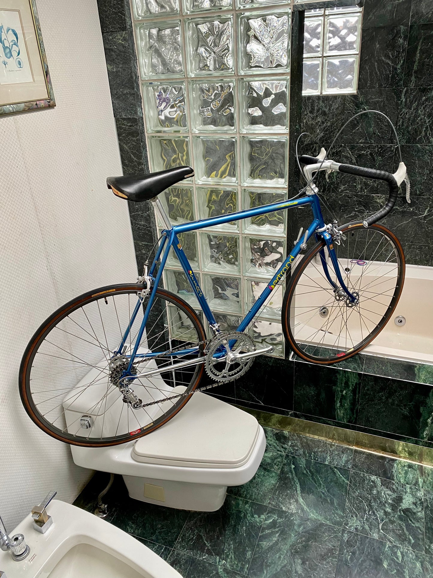 (SIZE 57cm) 1980's BERTRAND ROAD BIKE - CAMPAGNOLO - COLUMBUS SL