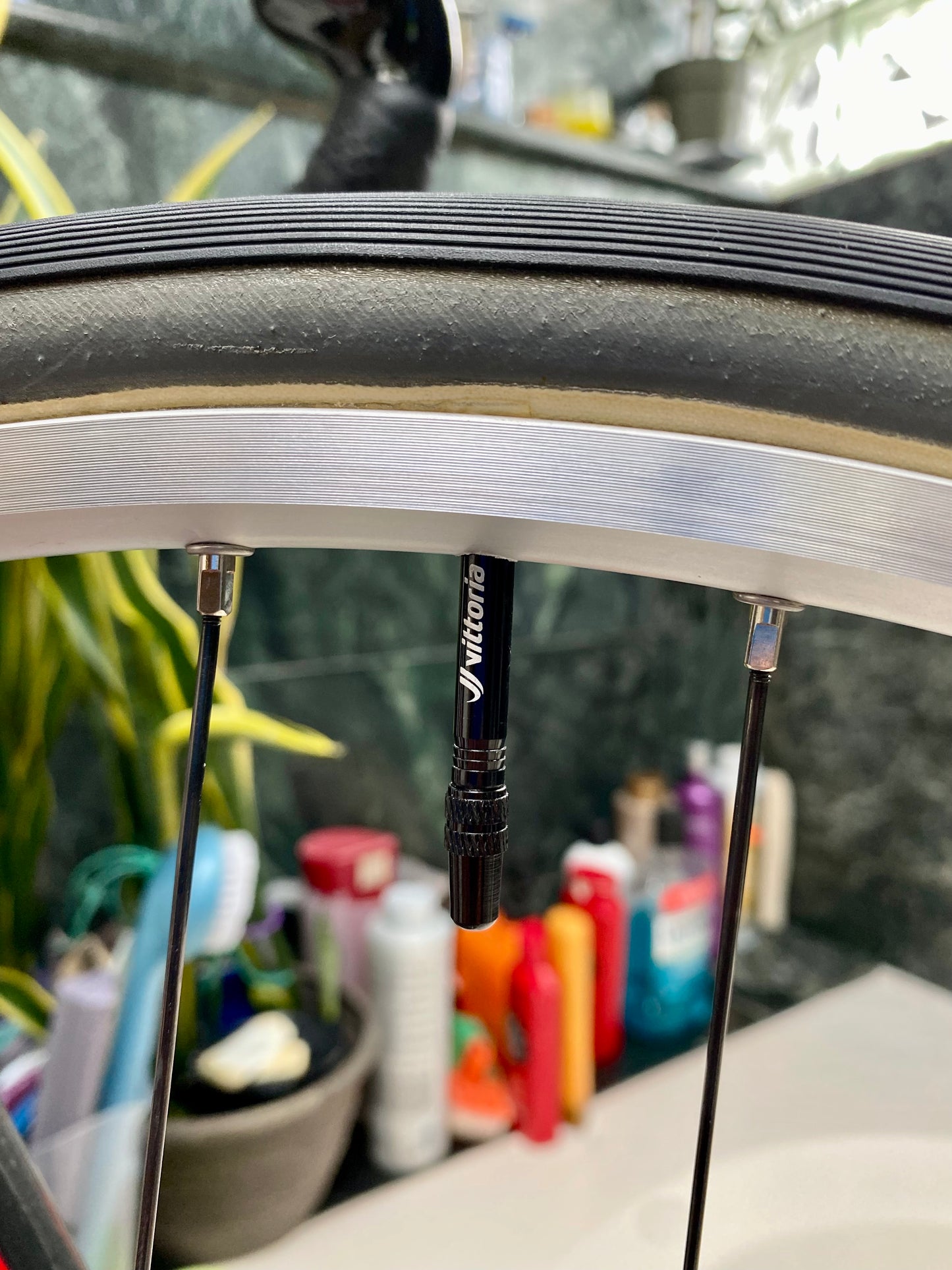 (SIZE (X)XS / "42.5") PINARELLO PISTA TRACK BIKE - FULL CUSTOM BUILD - DURA ACE - NEW