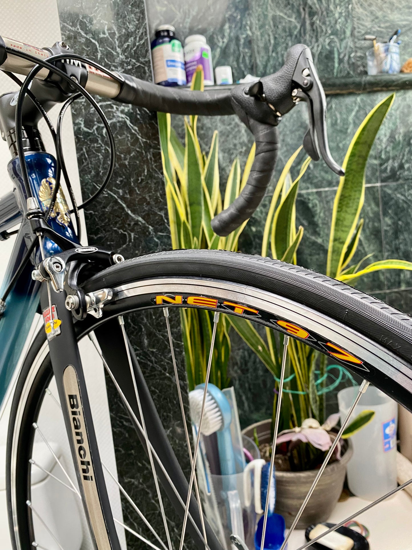 (SIZE 51cm) NOS / BRAND NEW CLASSIC BIANCHI ROAD BIKE - CAMPAGNOLO