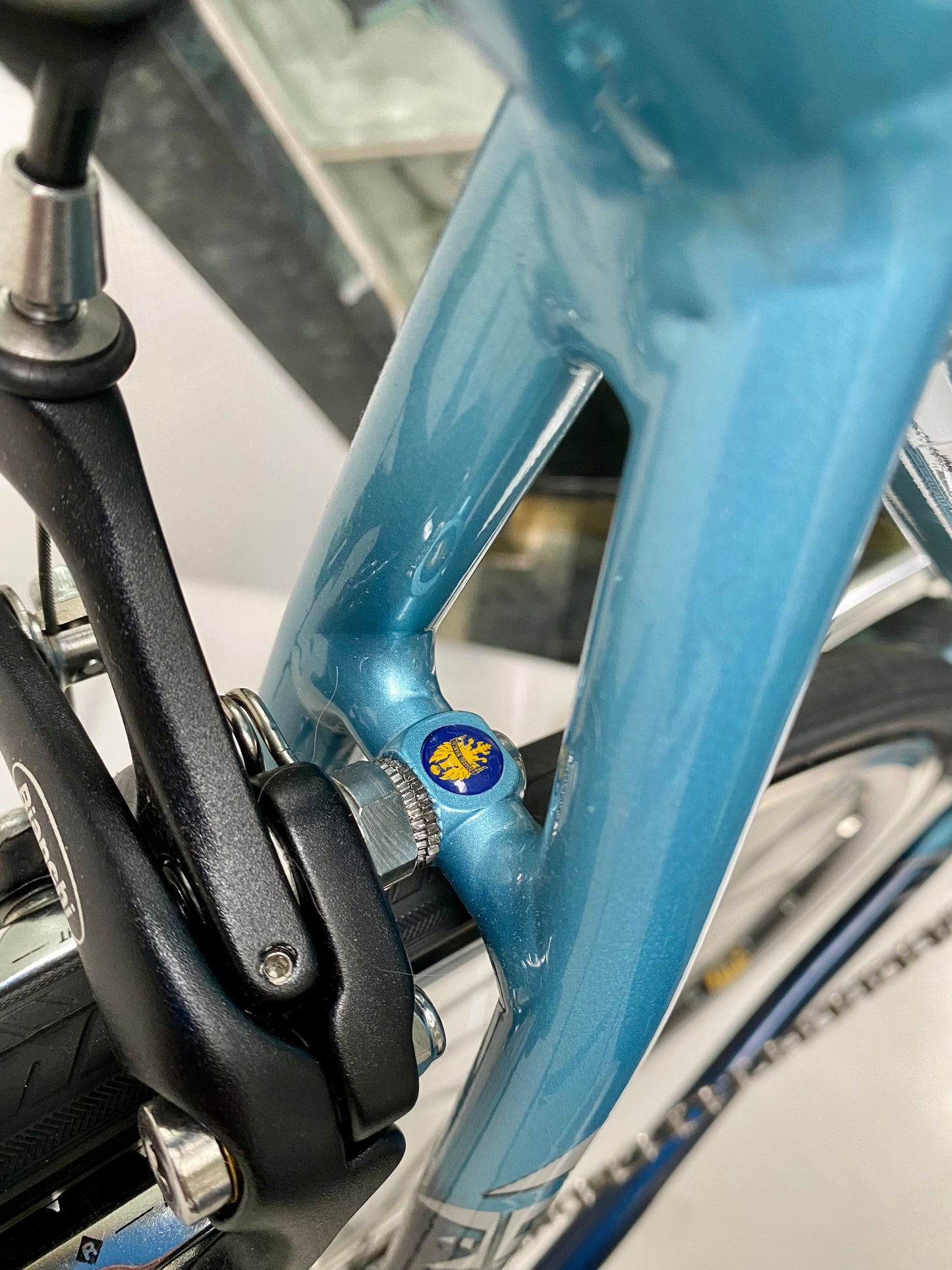 (SIZE 51cm) NOS / BRAND NEW CLASSIC BIANCHI ROAD BIKE - CAMPAGNOLO