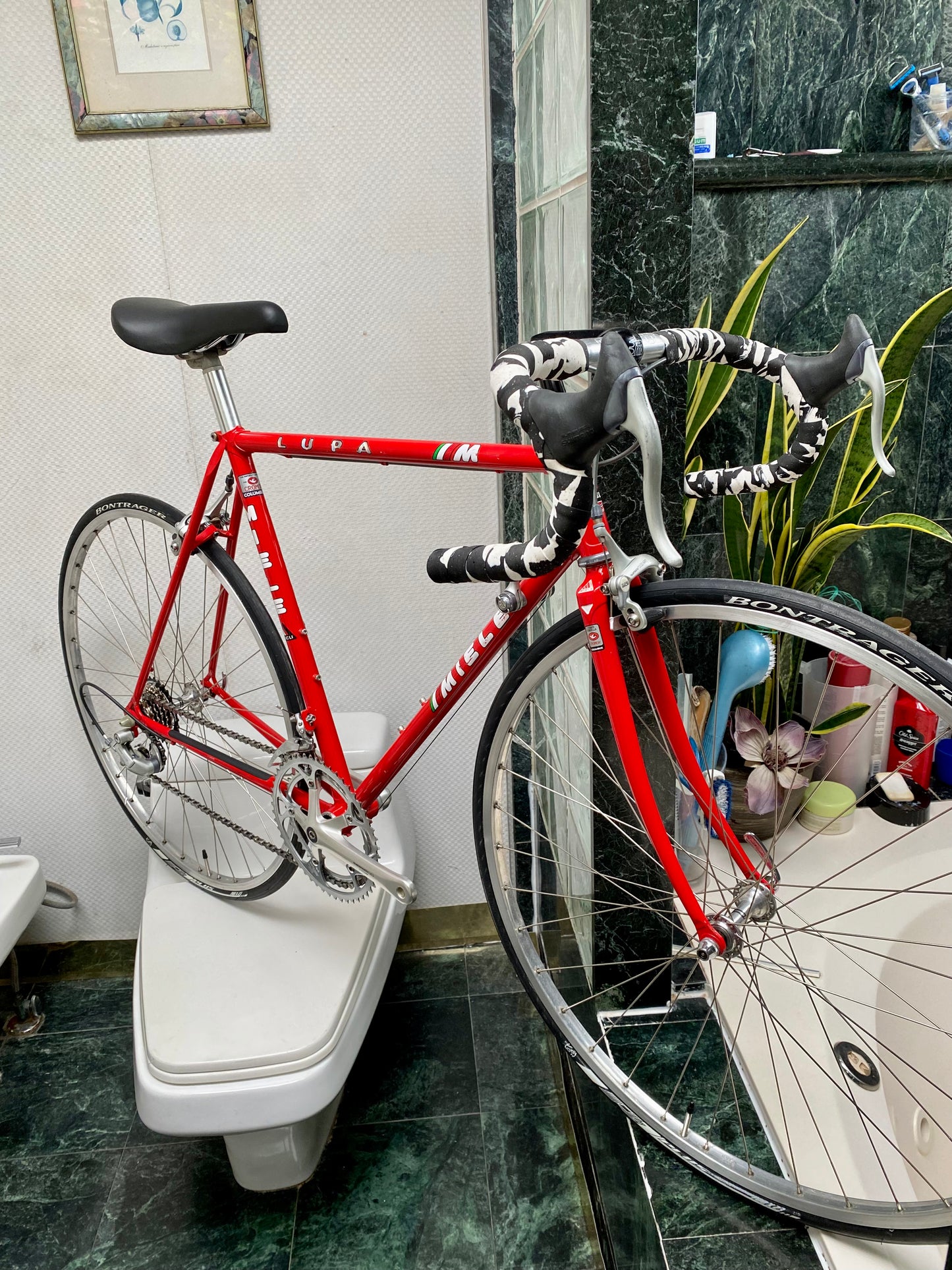 (SIZE 53cm) 1980's MIELE LUPA ROAD BIKE - COLUMBUS CROMOR