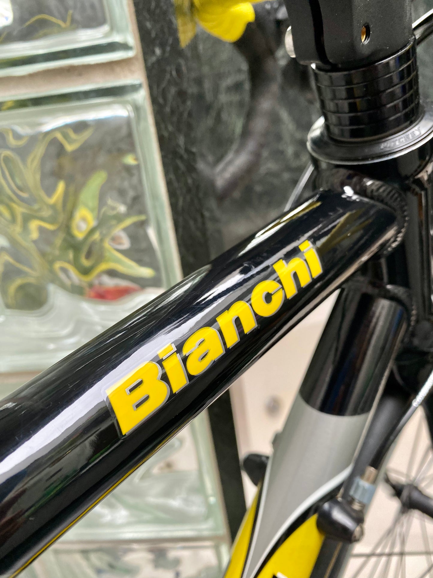 (SIZE 53cm) NOS / BRAND NEW CLASSIC BIANCHI "PRO RACE" ROAD BIKE - CAMPAGNOLO