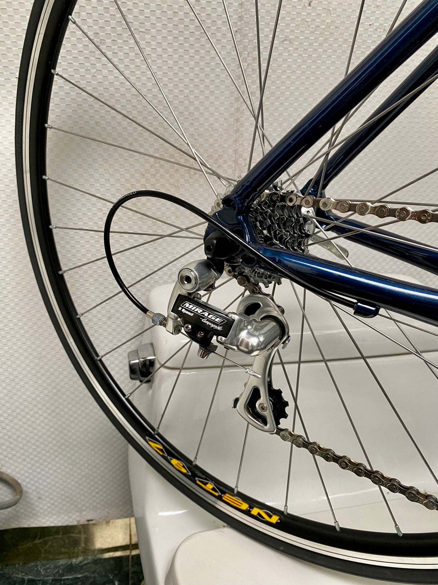 (SIZE 51cm) NOS / BRAND NEW CLASSIC BIANCHI ROAD BIKE - CAMPAGNOLO