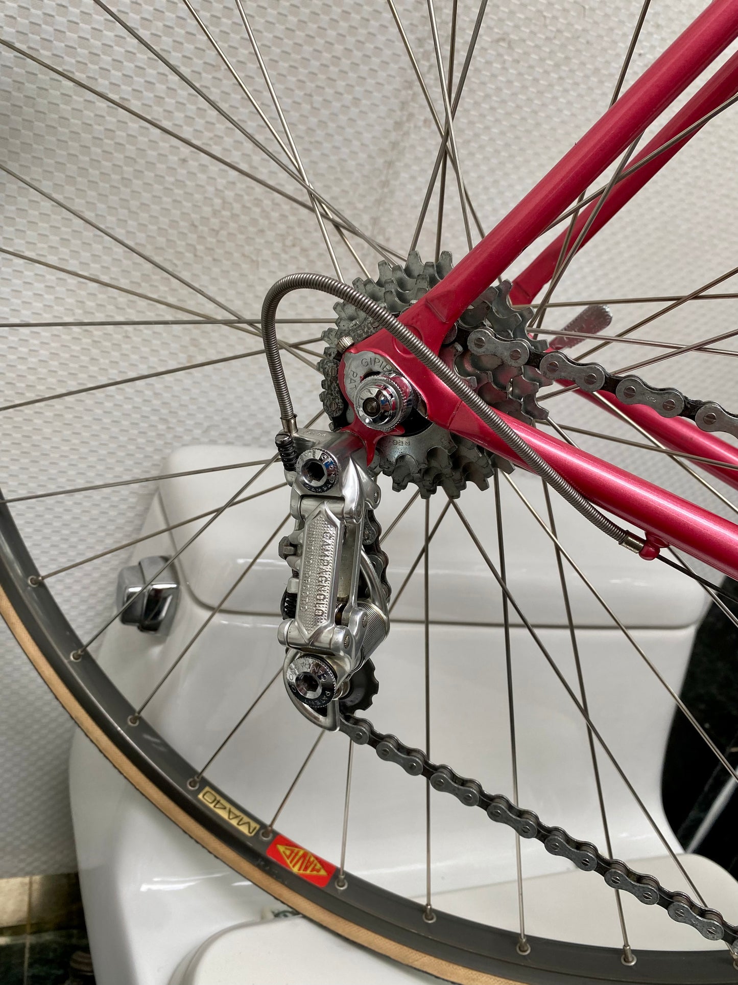 (SIZE 55cm) LIKE NEW 1980's BIANCHI ROAD BIKE - CAMPAGNOLO - SPOTLESS!!!