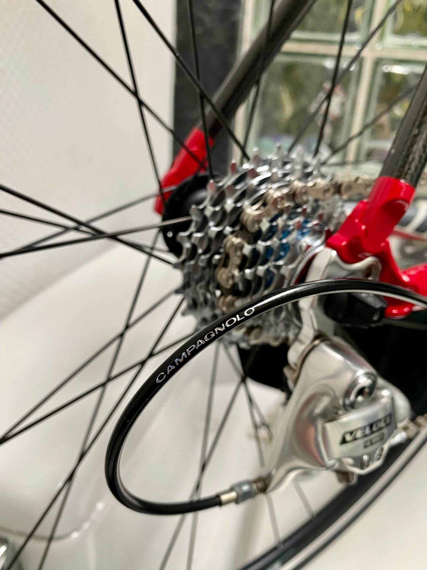 (SIZE 56cm) NOS / BRAND NEW CLASSIC BIANCHI ROAD BIKE - CAMPAGNOLO