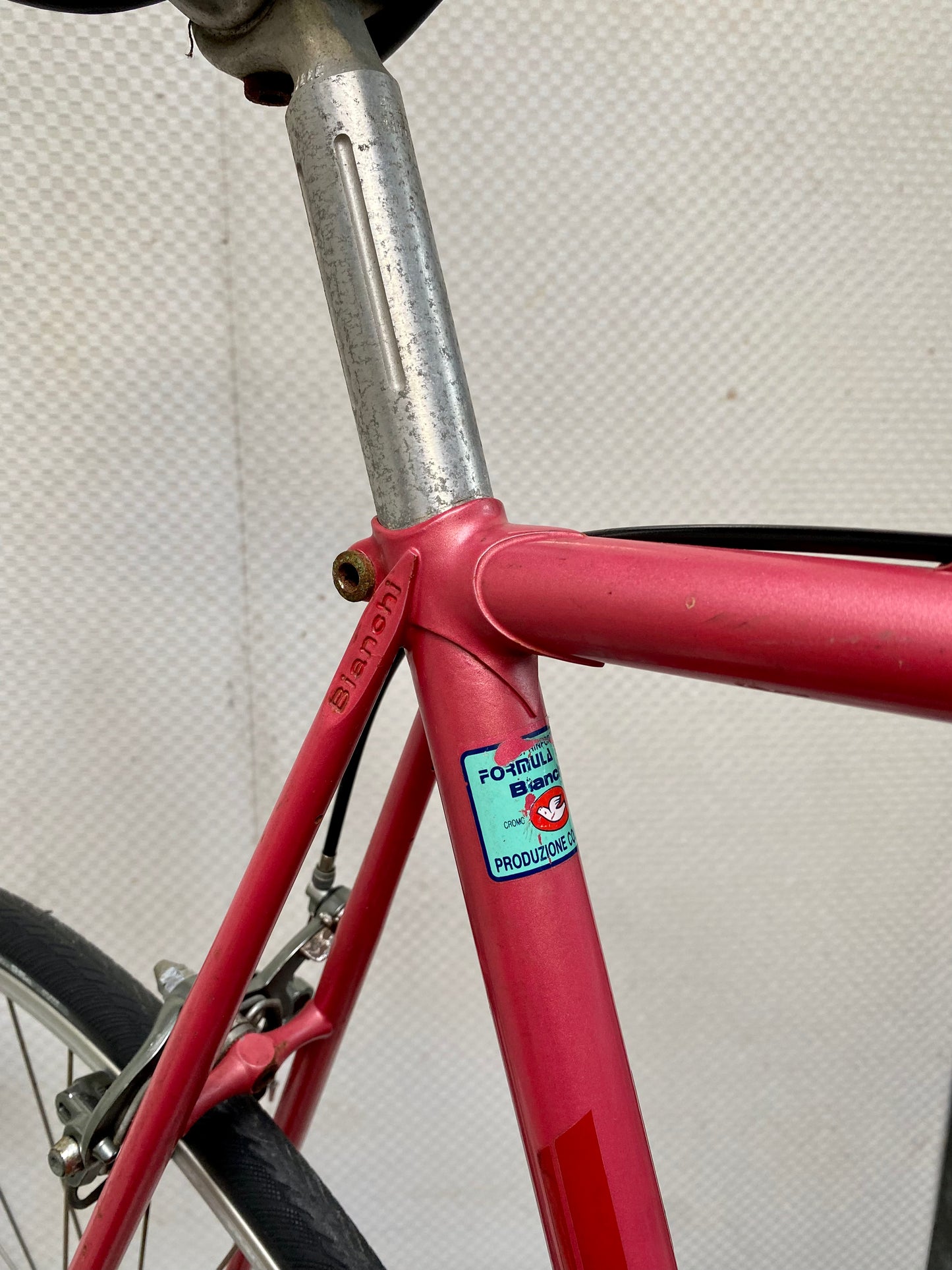 (SIZE 58cm) BIANCHI SQUADRA ROAD BIKE - MADE IN ITALY - COLUMBUS