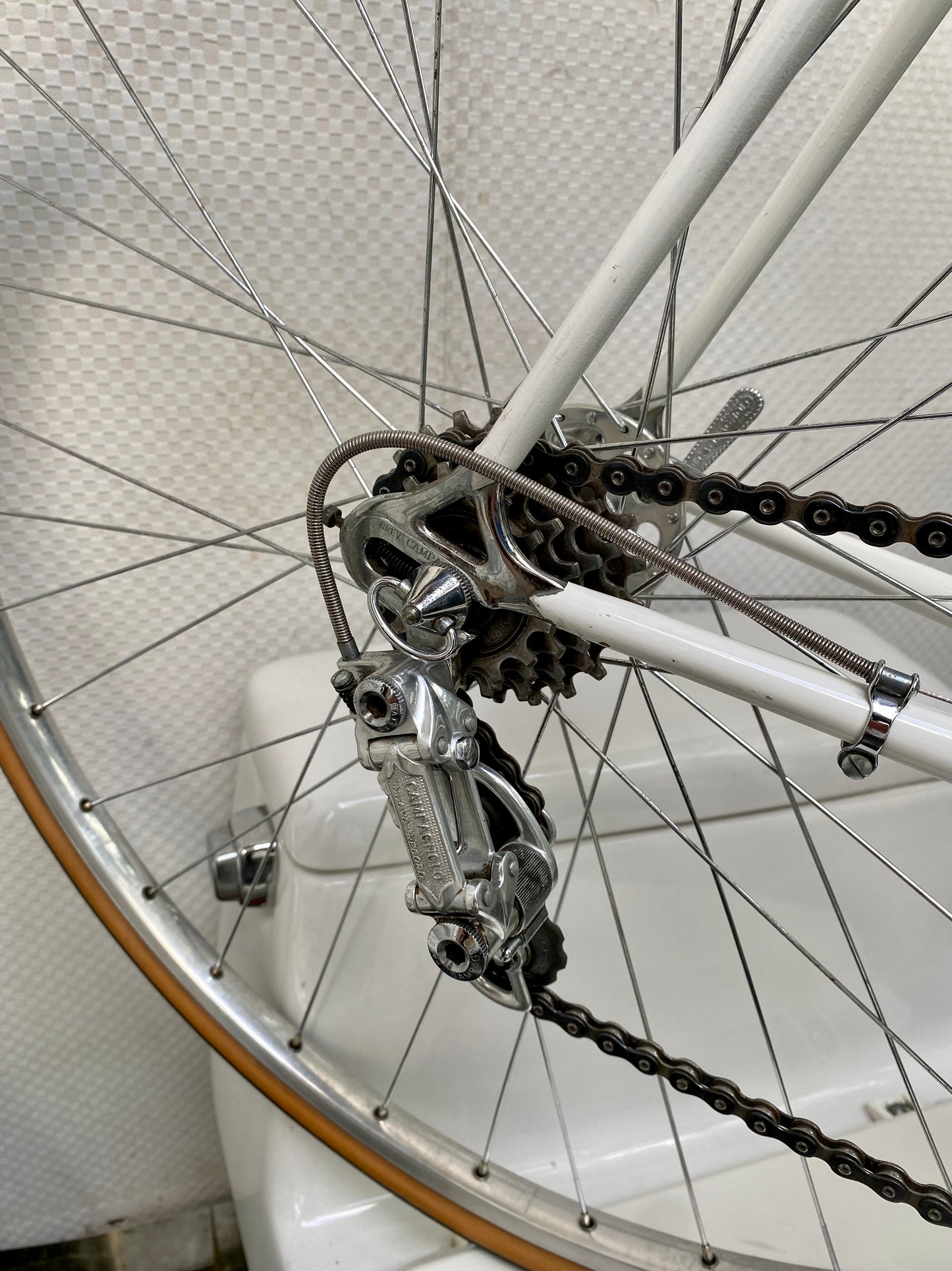 (SIZE 54cm) 1970's WINDSOR PROFESSIONAL ROAD BIKE - CAMPAGNOLO NUOVO RECORD